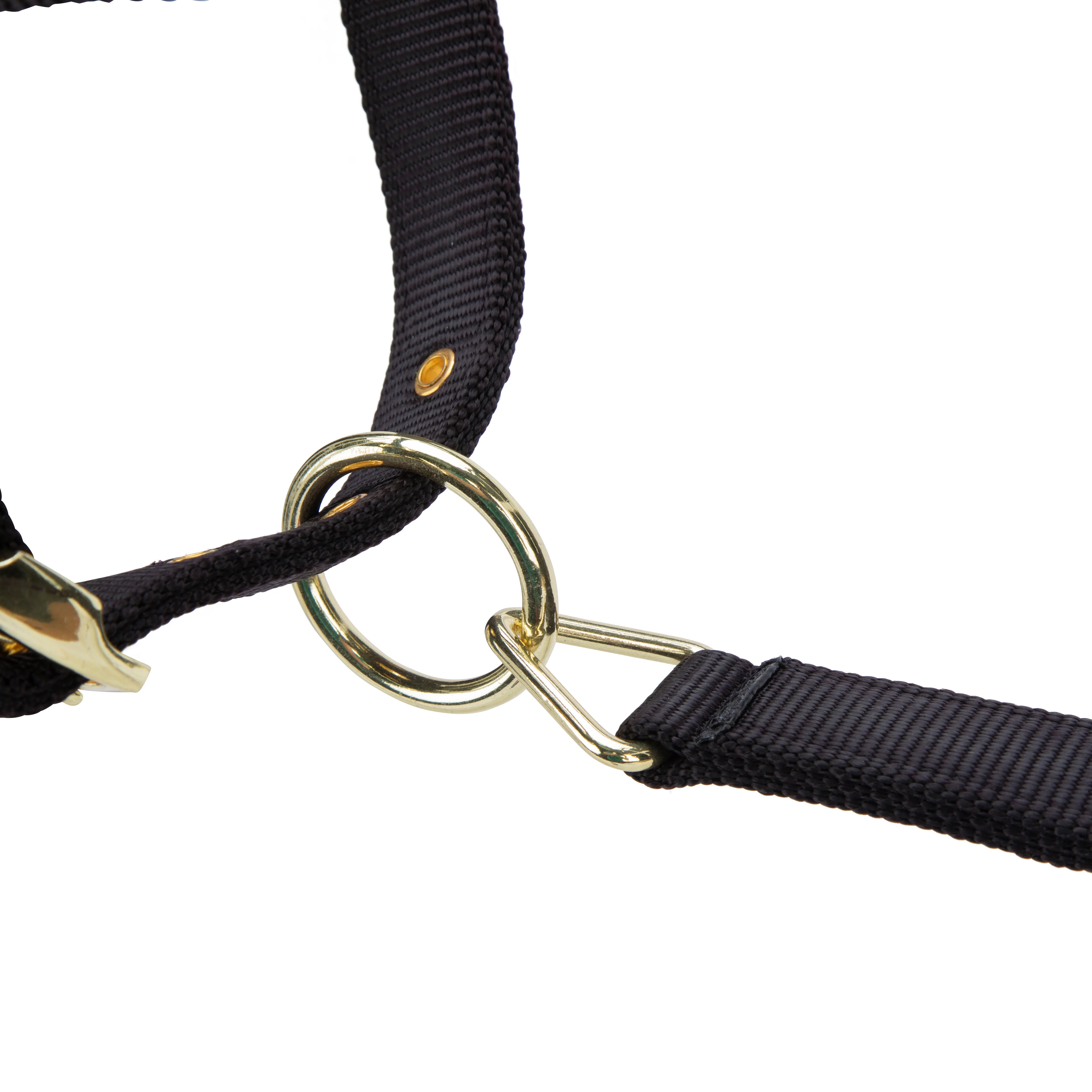Shires ARMA Premium Adjustable FieldSafe Headcollar - Image 5