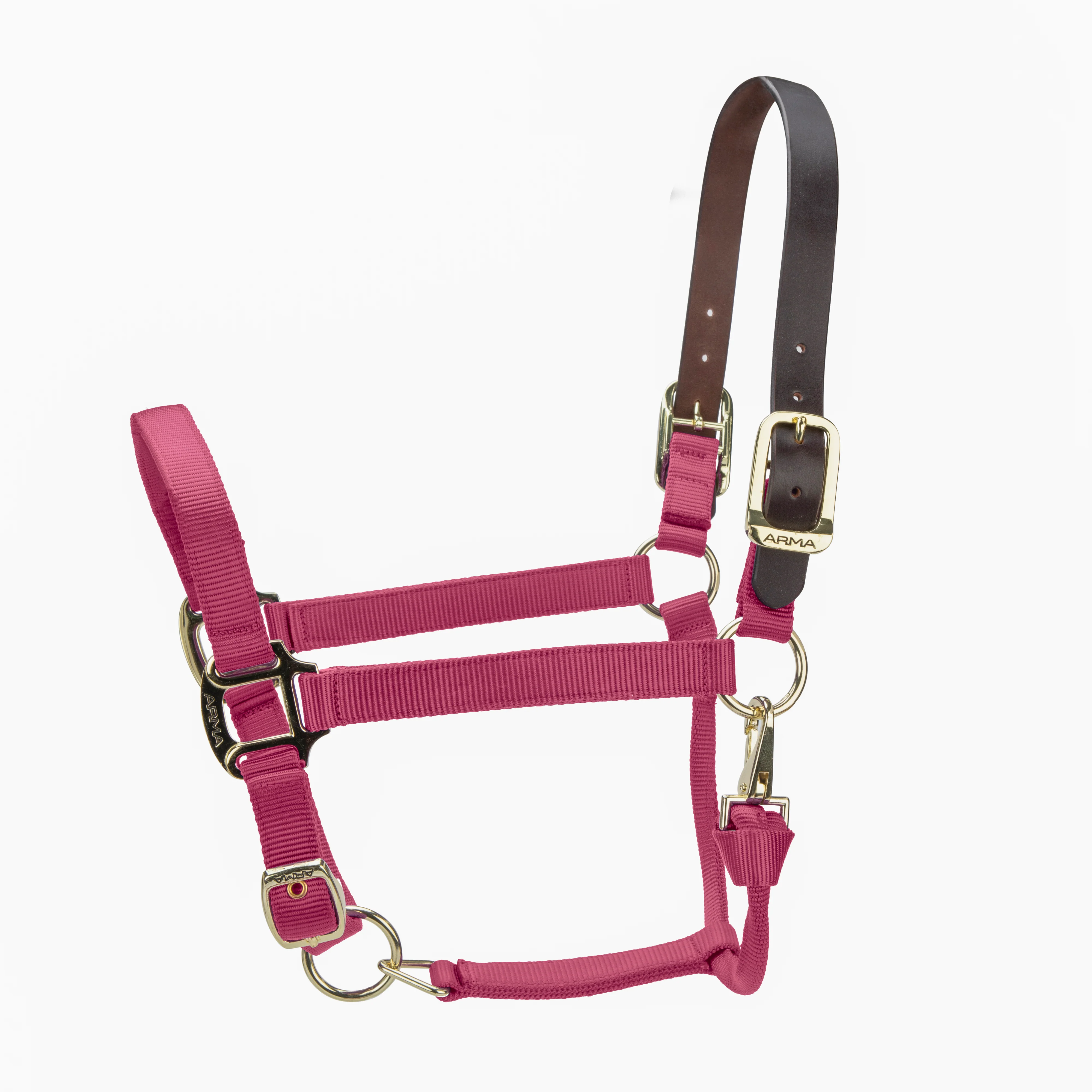 Shires ARMA Premium Adjustable FieldSafe Headcollar - Image 8