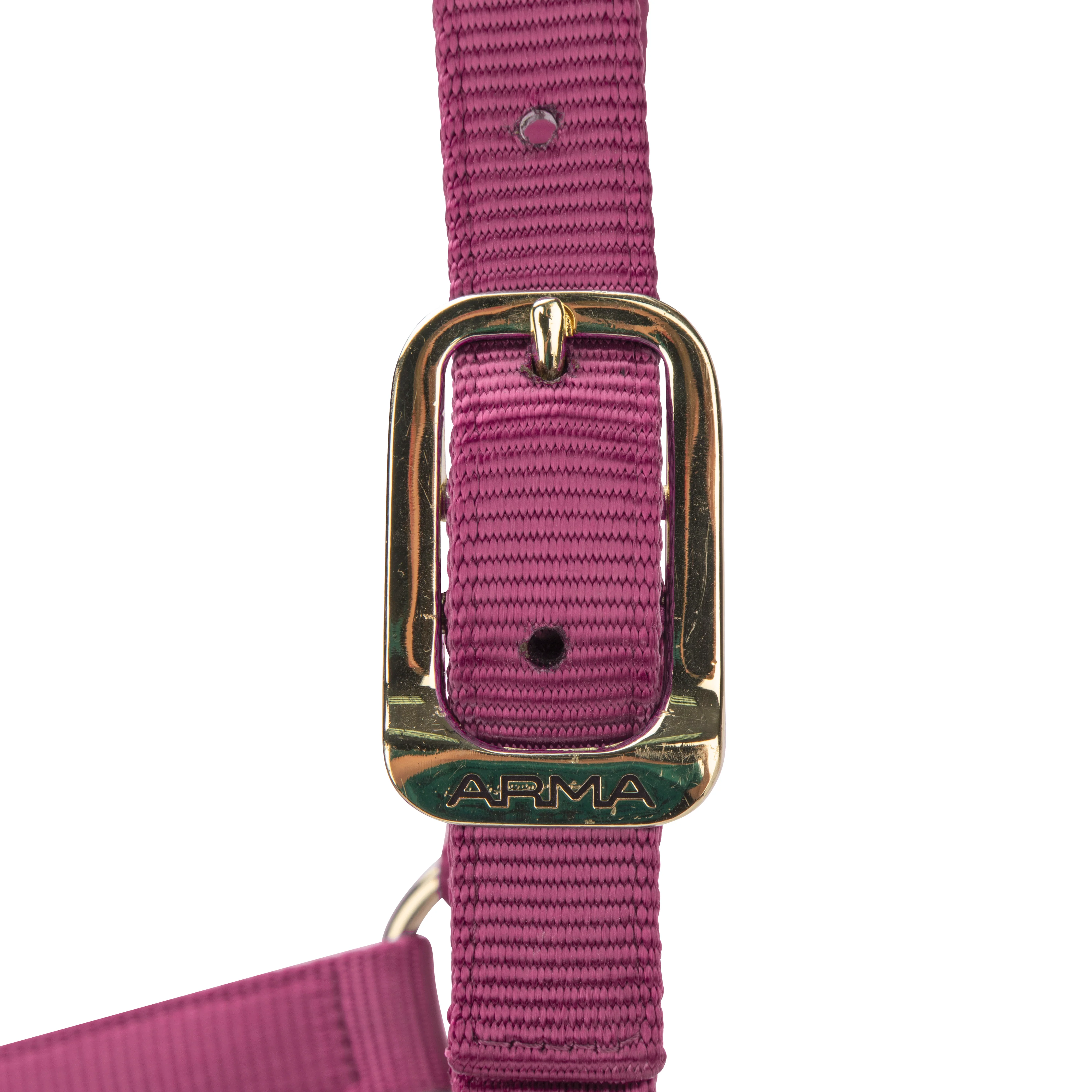 Shires ARMA Premium Adjustable Headcollar - Image 10