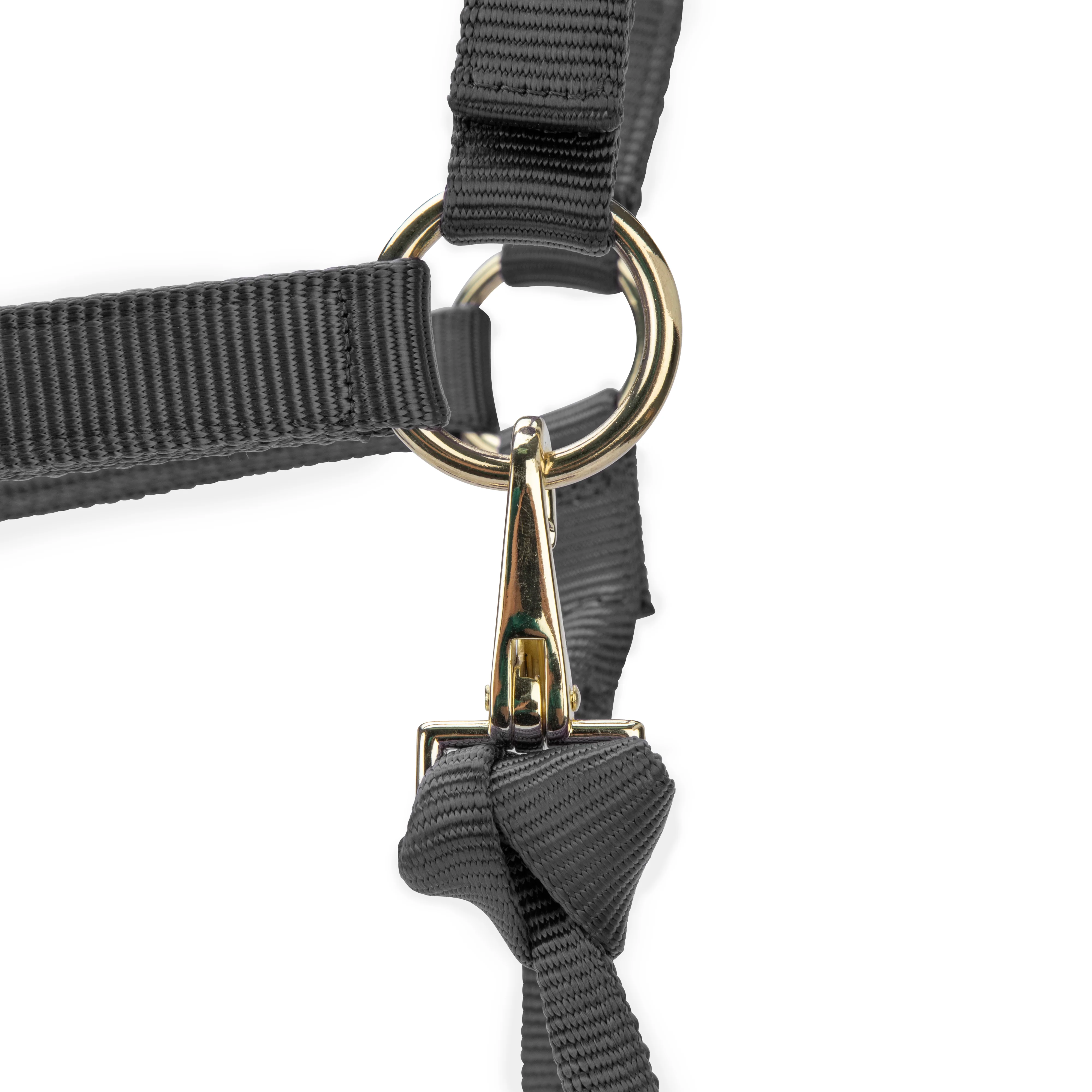 Shires ARMA Premium Adjustable Headcollar - Image 14