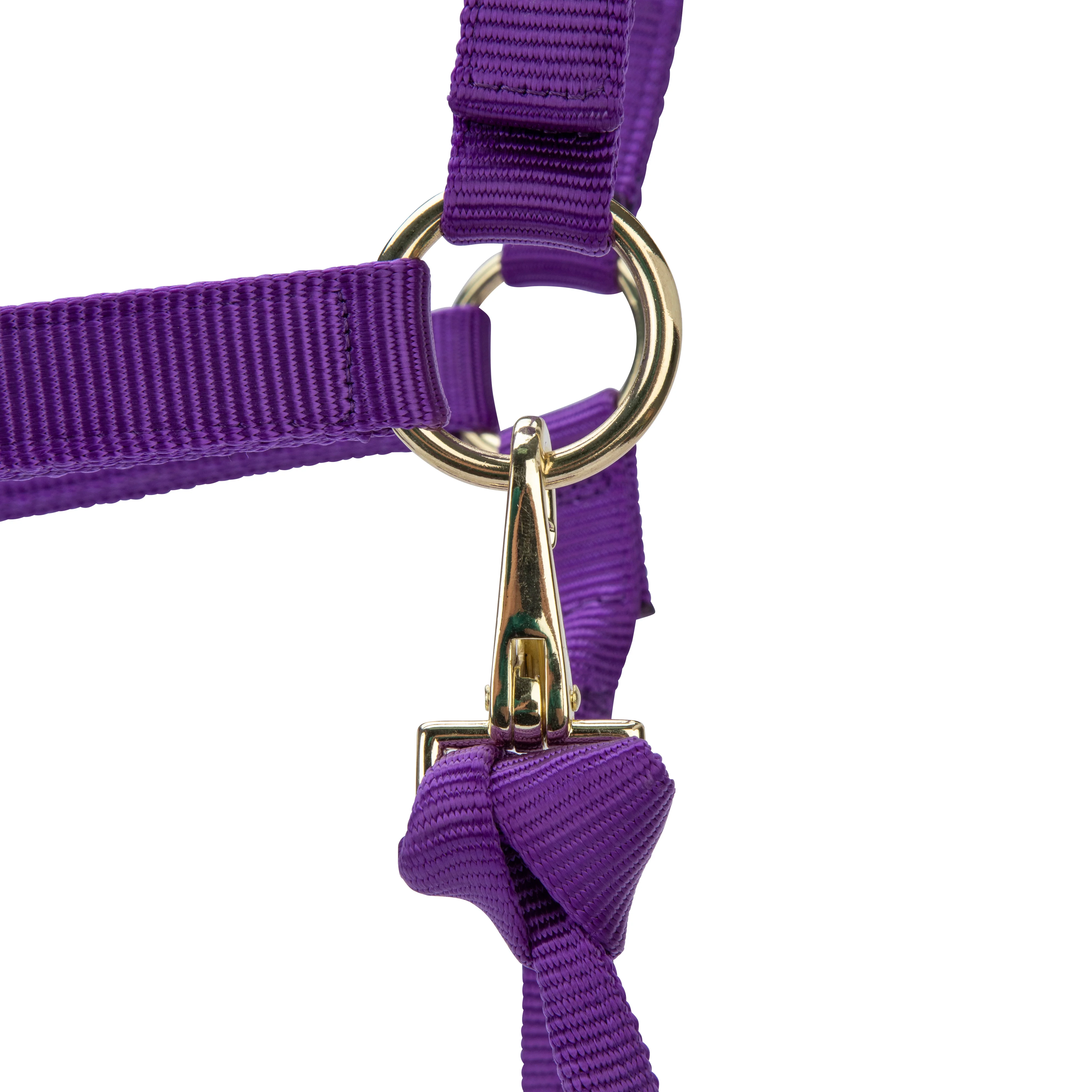Shires ARMA Premium Adjustable Headcollar - Image 27