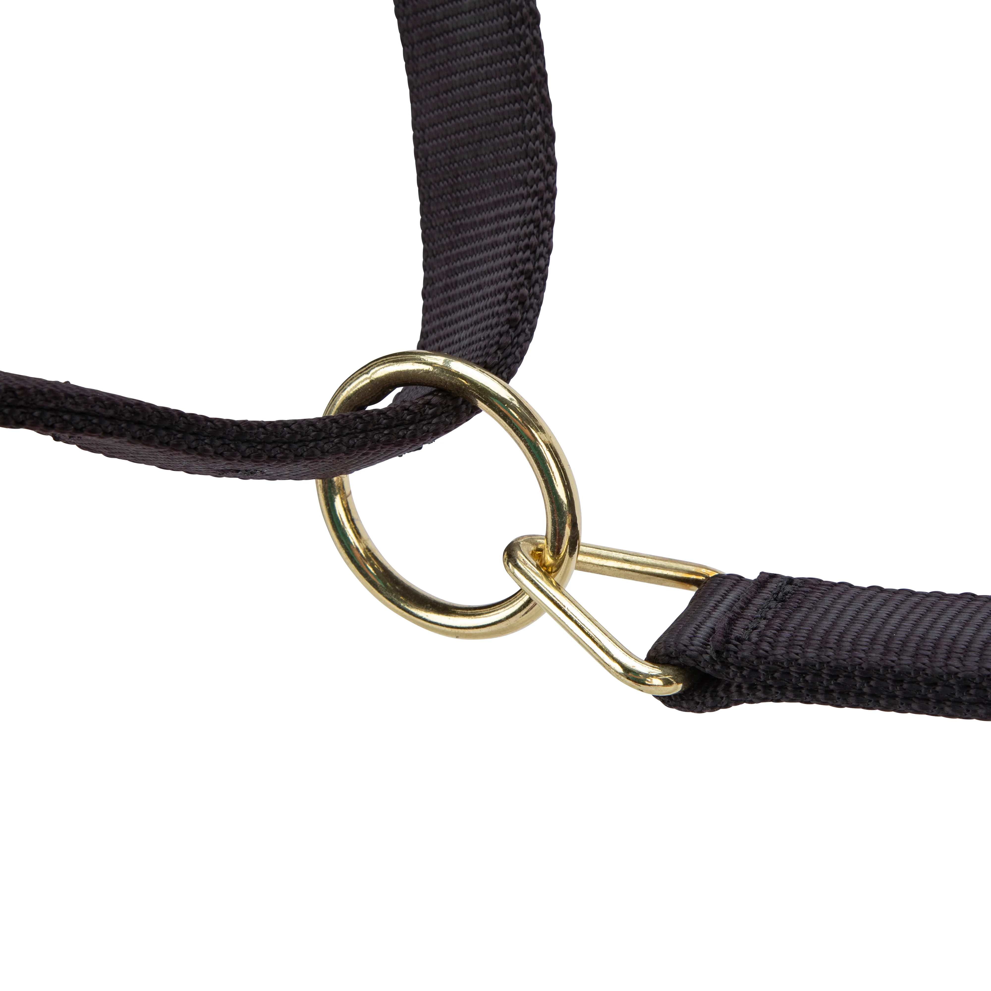 Shires ARMA Premium Adjustable Headcollar - Image 3