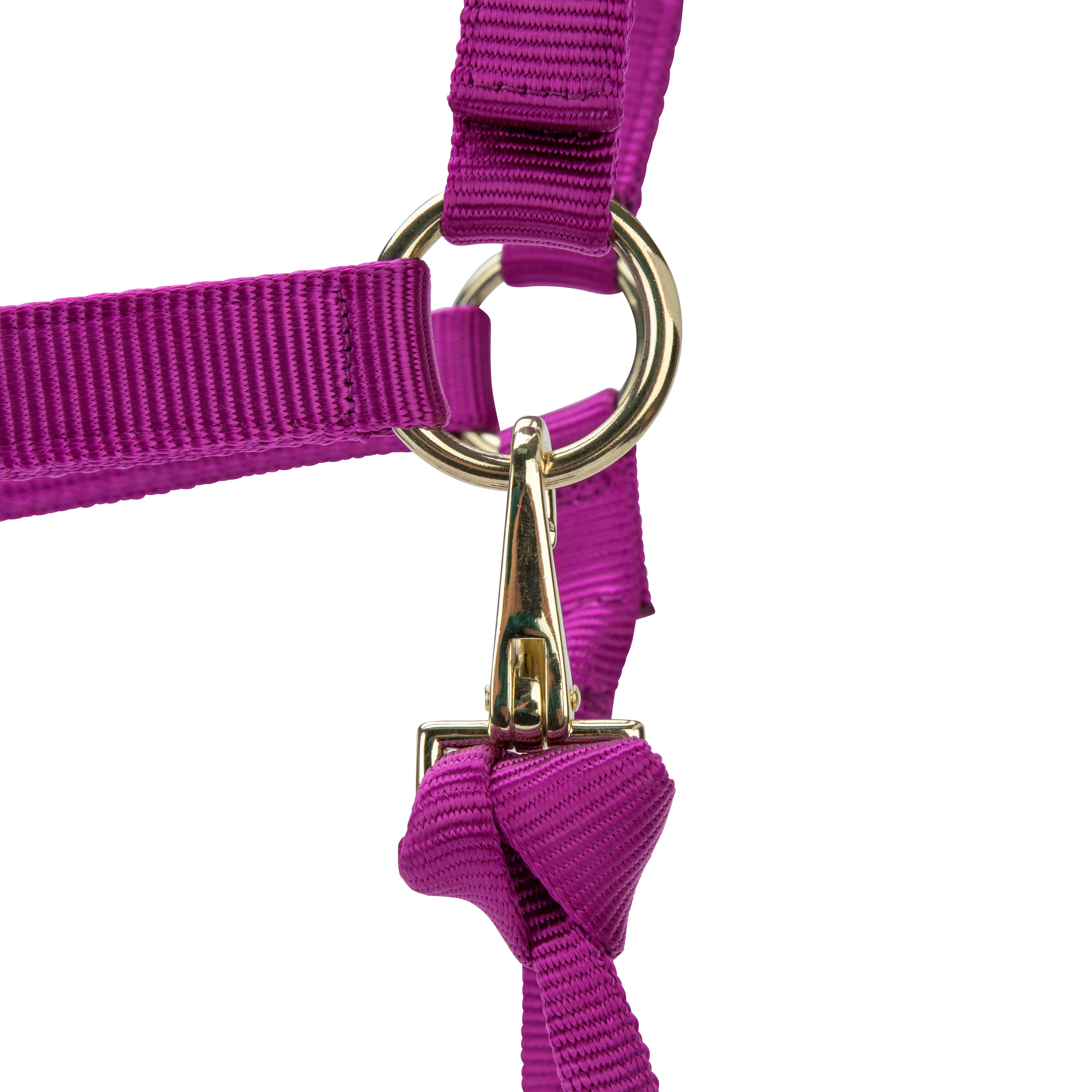 Shires ARMA Premium Adjustable Headcollar - Image 31