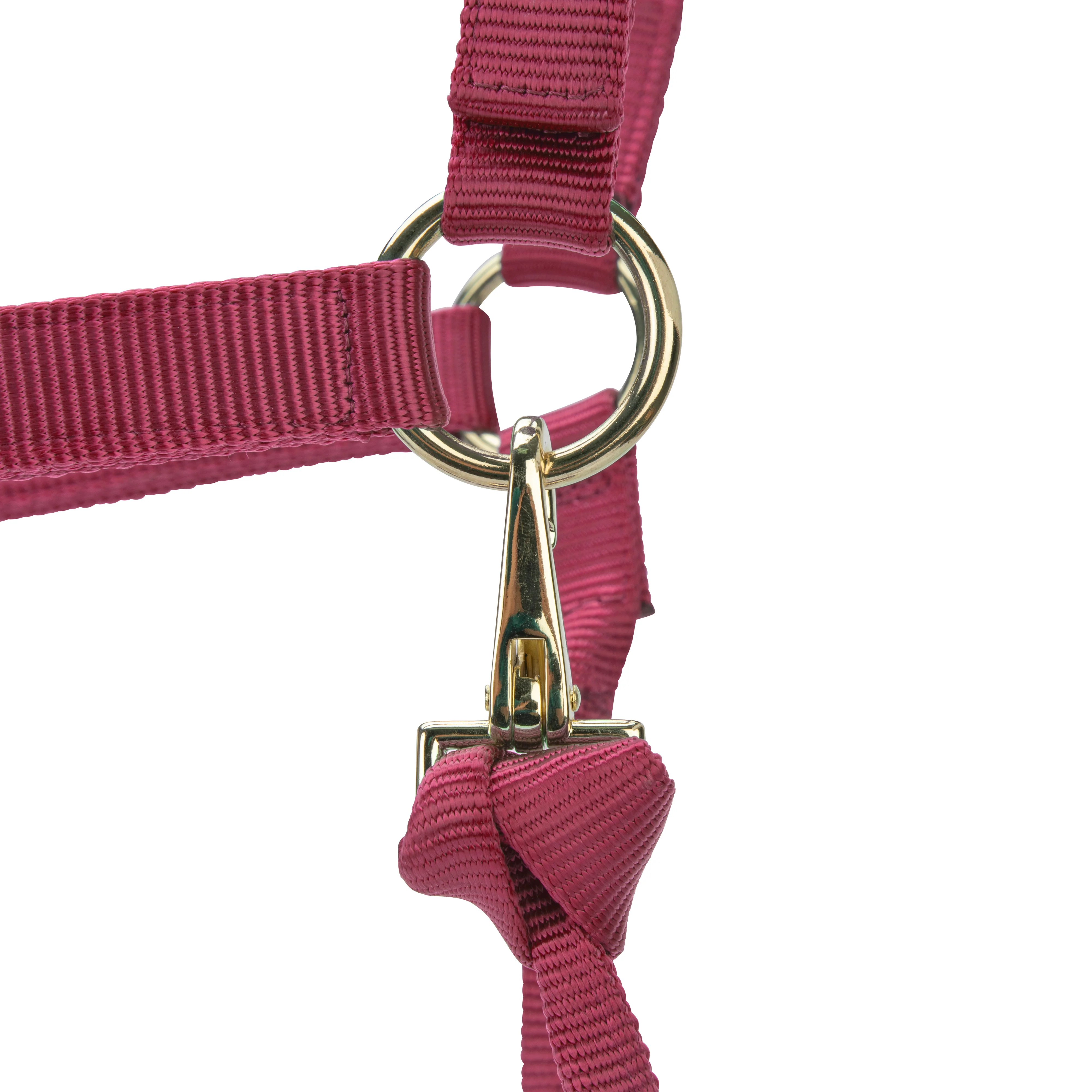 Shires ARMA Premium Adjustable Headcollar - Image 36