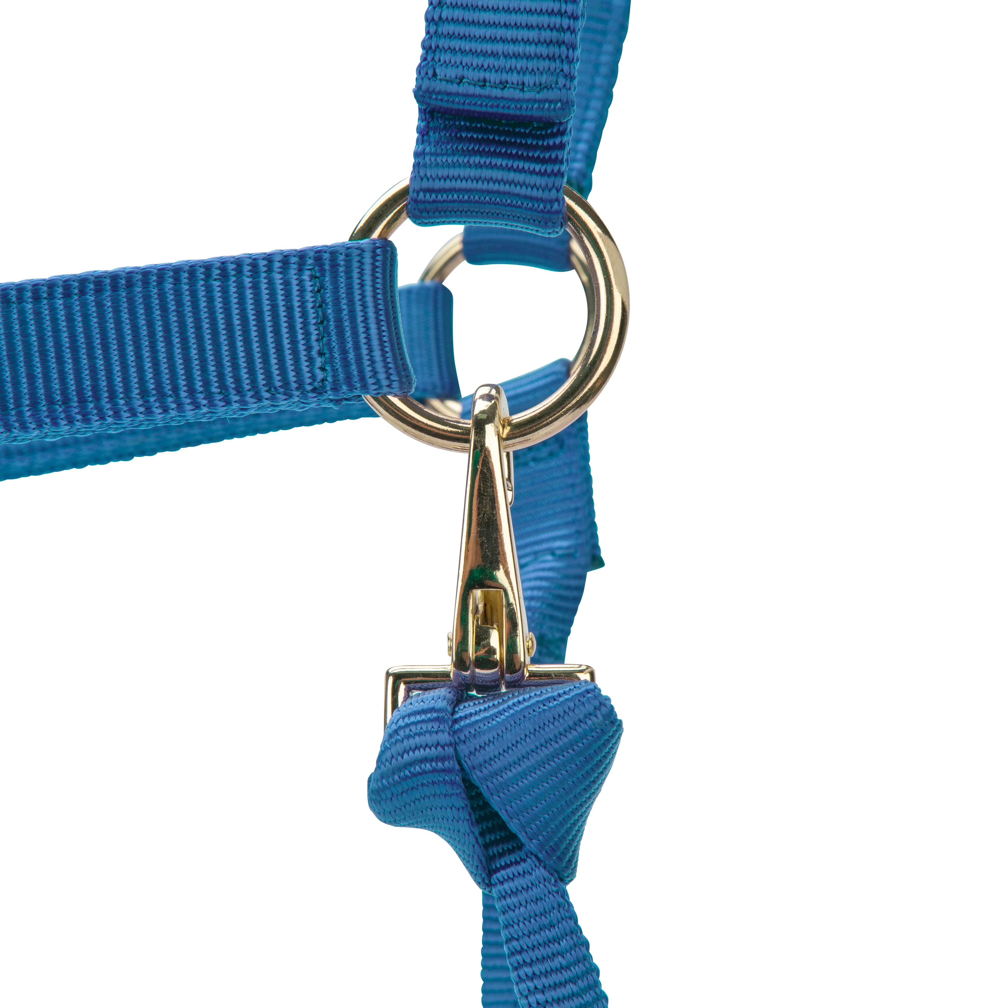 Shires ARMA Premium Adjustable Headcollar - Image 38