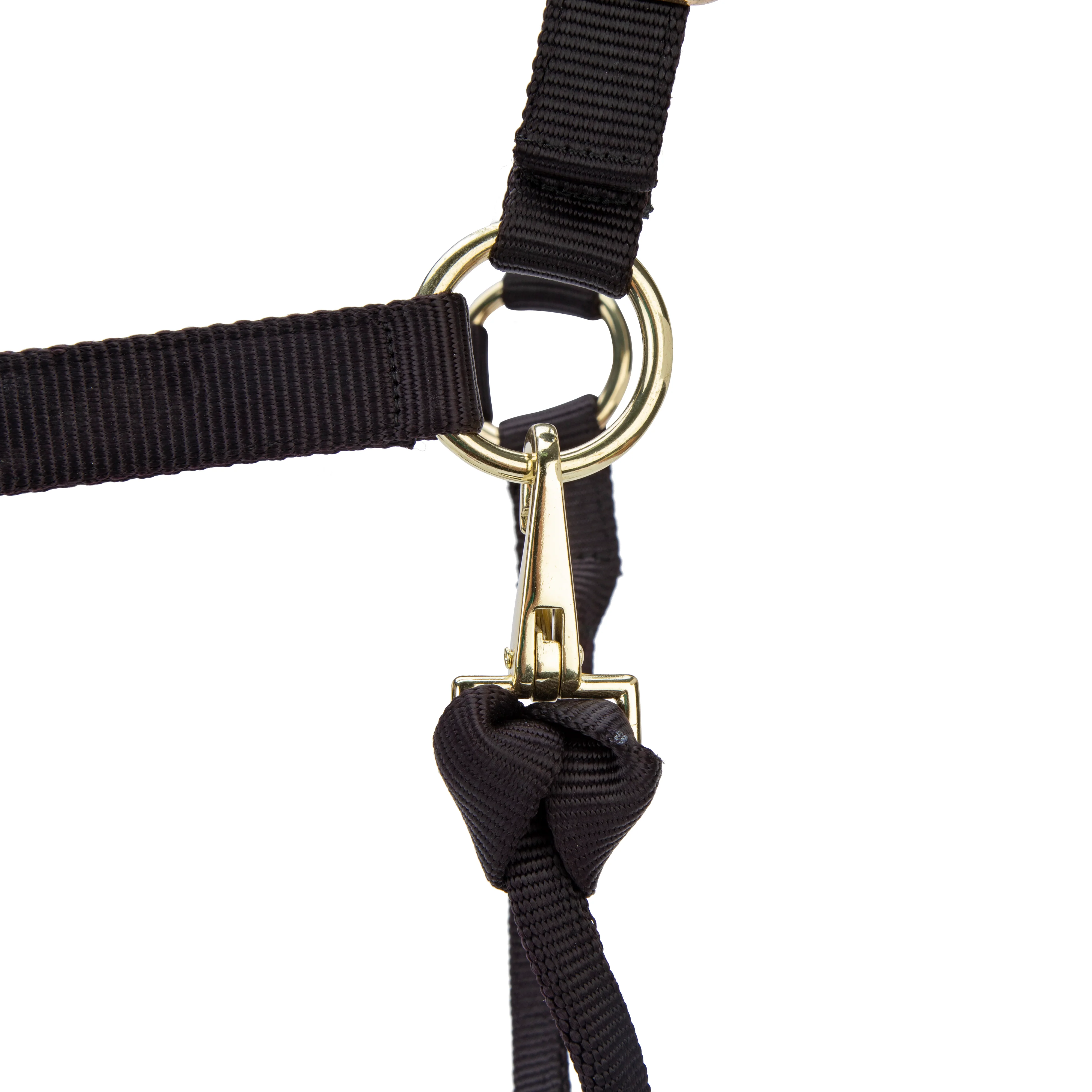 Shires ARMA Premium Adjustable Headcollar - Image 6