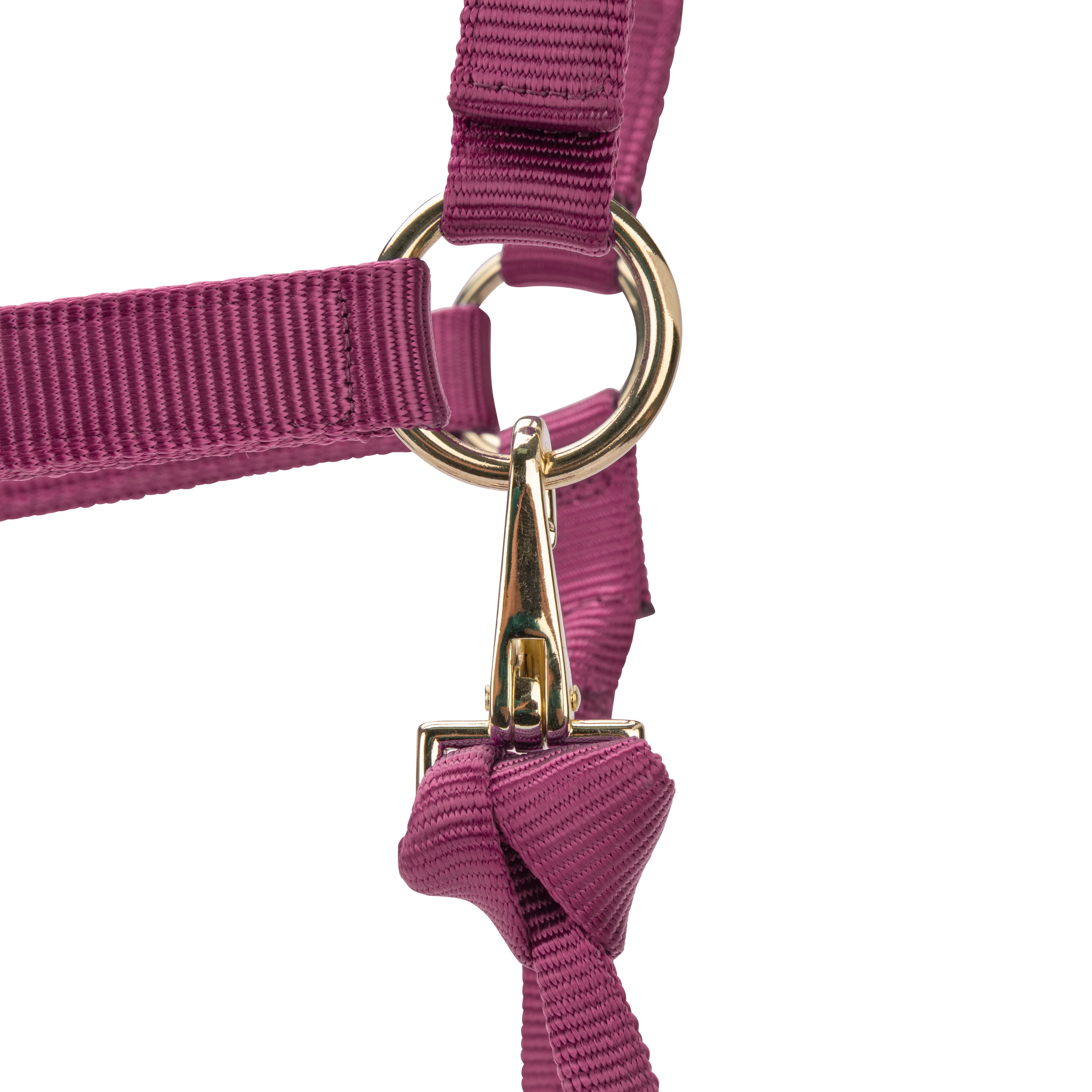 Shires ARMA Premium Adjustable Headcollar - Image 8