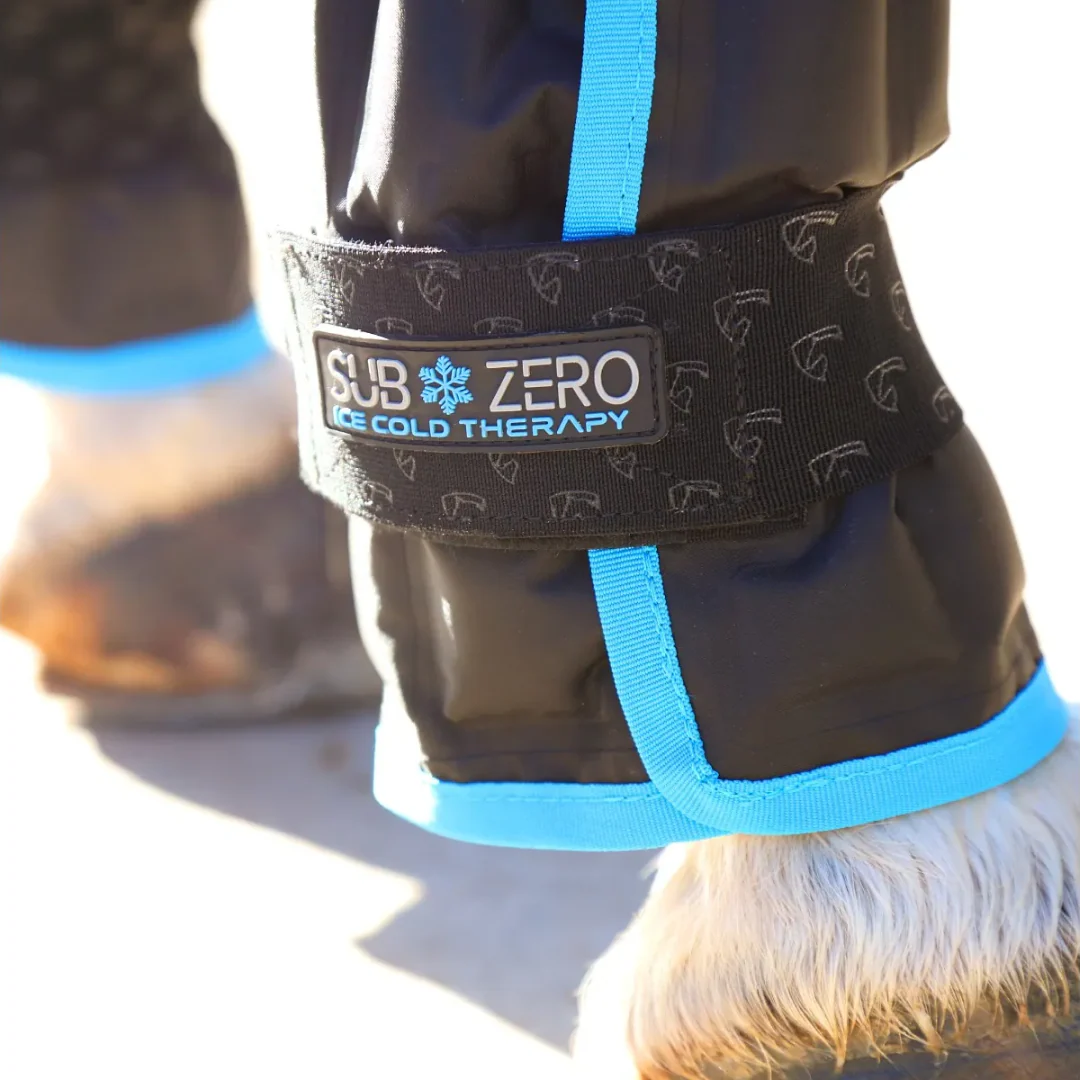 Shires ARMA Subzero Ice Boots - Image 2