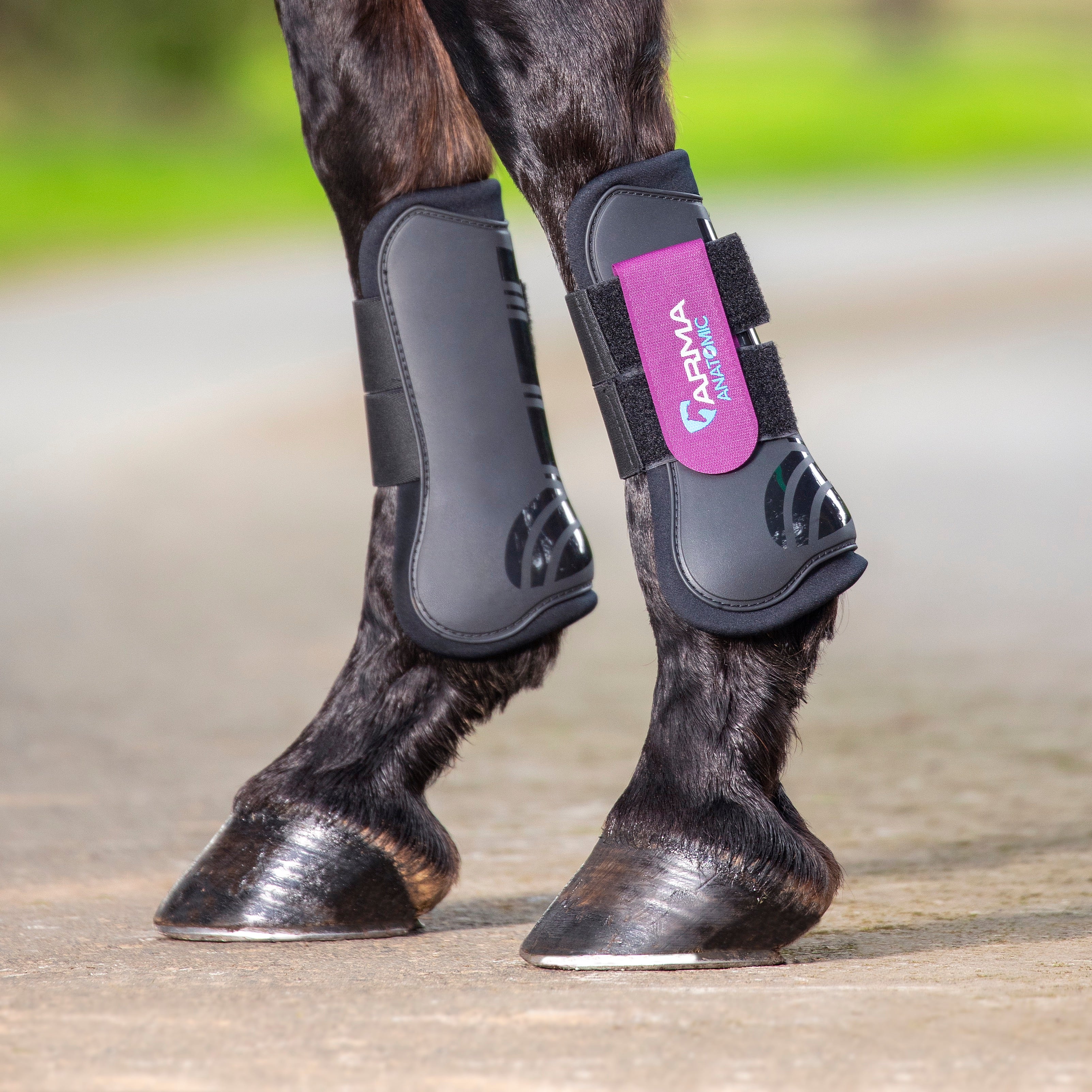 Shires ARMA Tendon Boots - Image 10