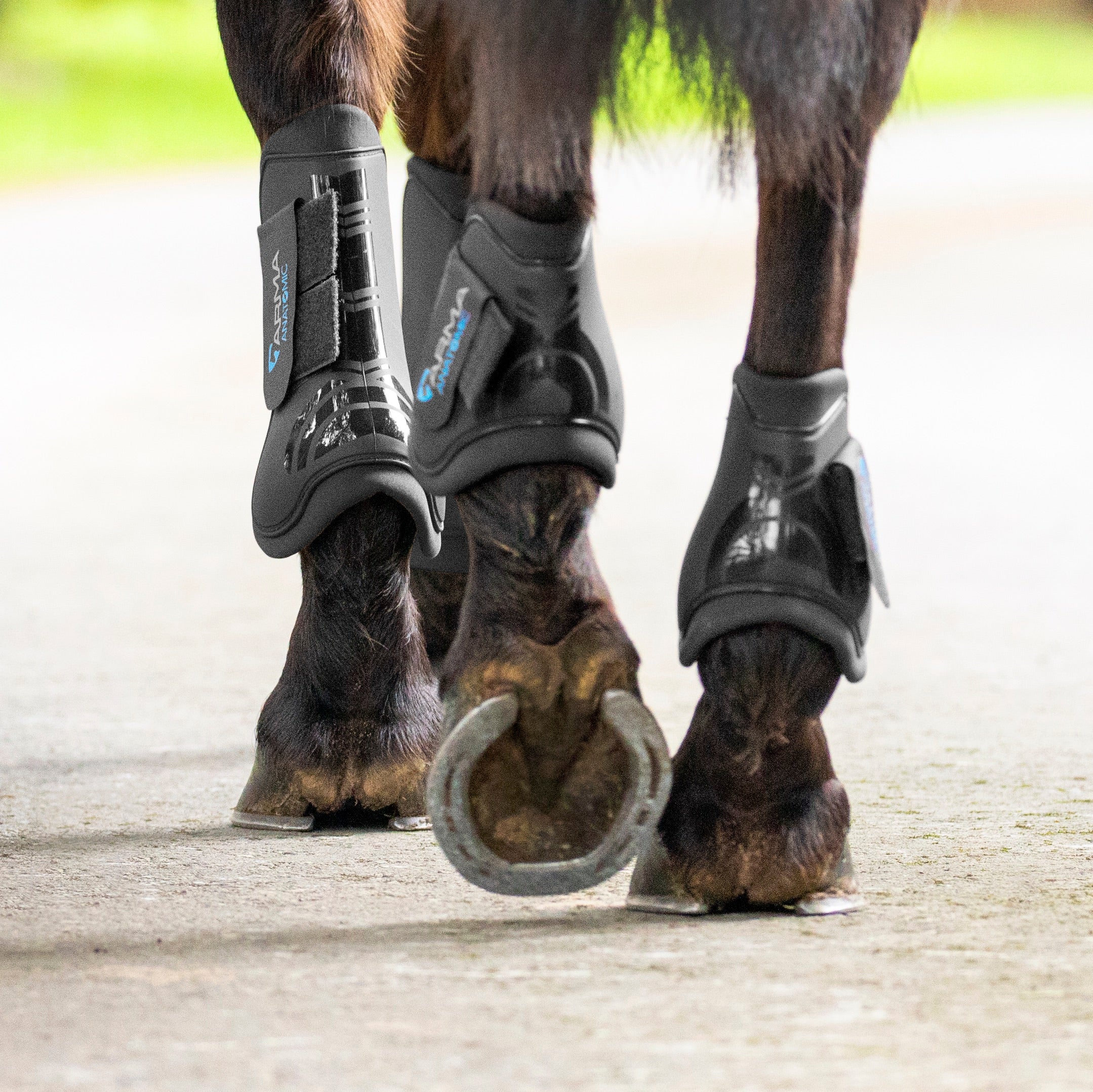 Shires ARMA Tendon Boots - Image 3