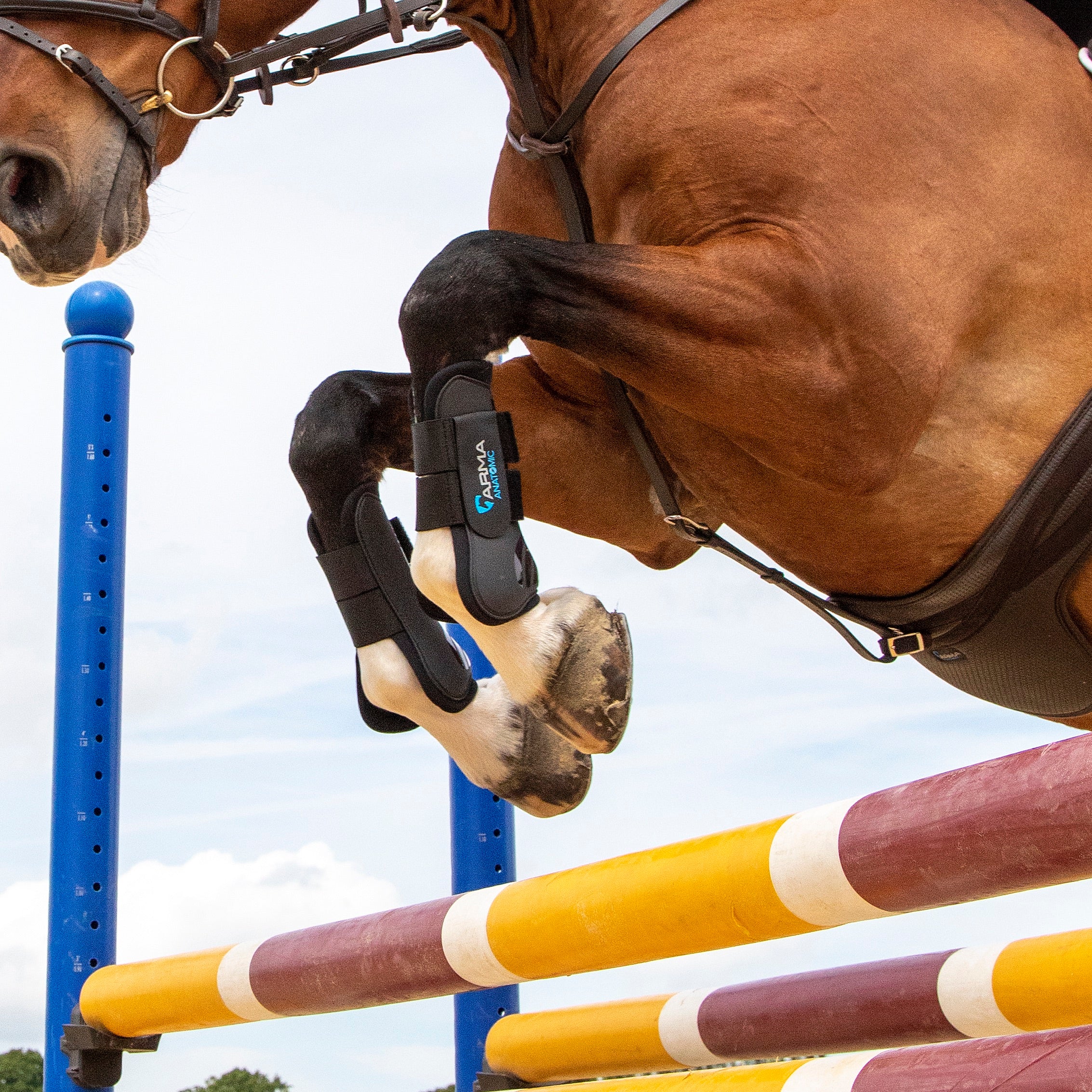 Shires ARMA Tendon Boots - Image 4