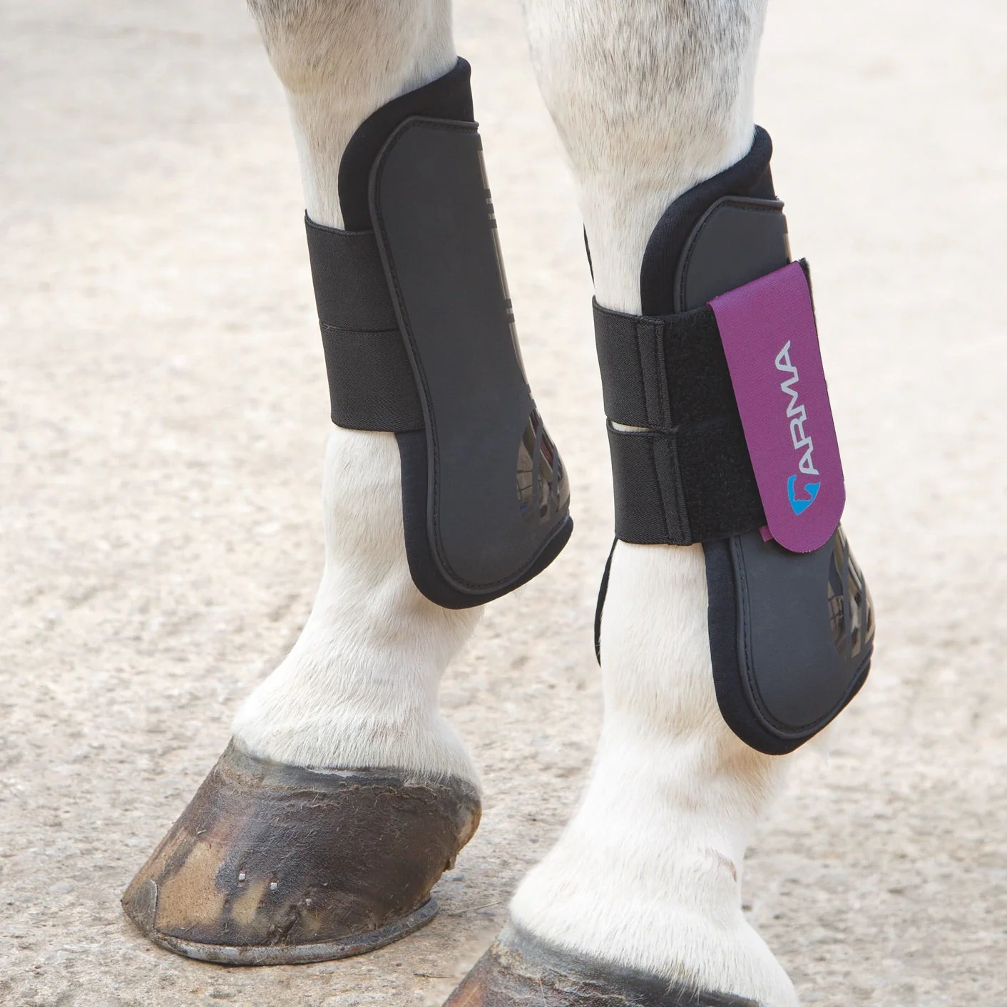 Shires ARMA Tendon Boots - Image 6