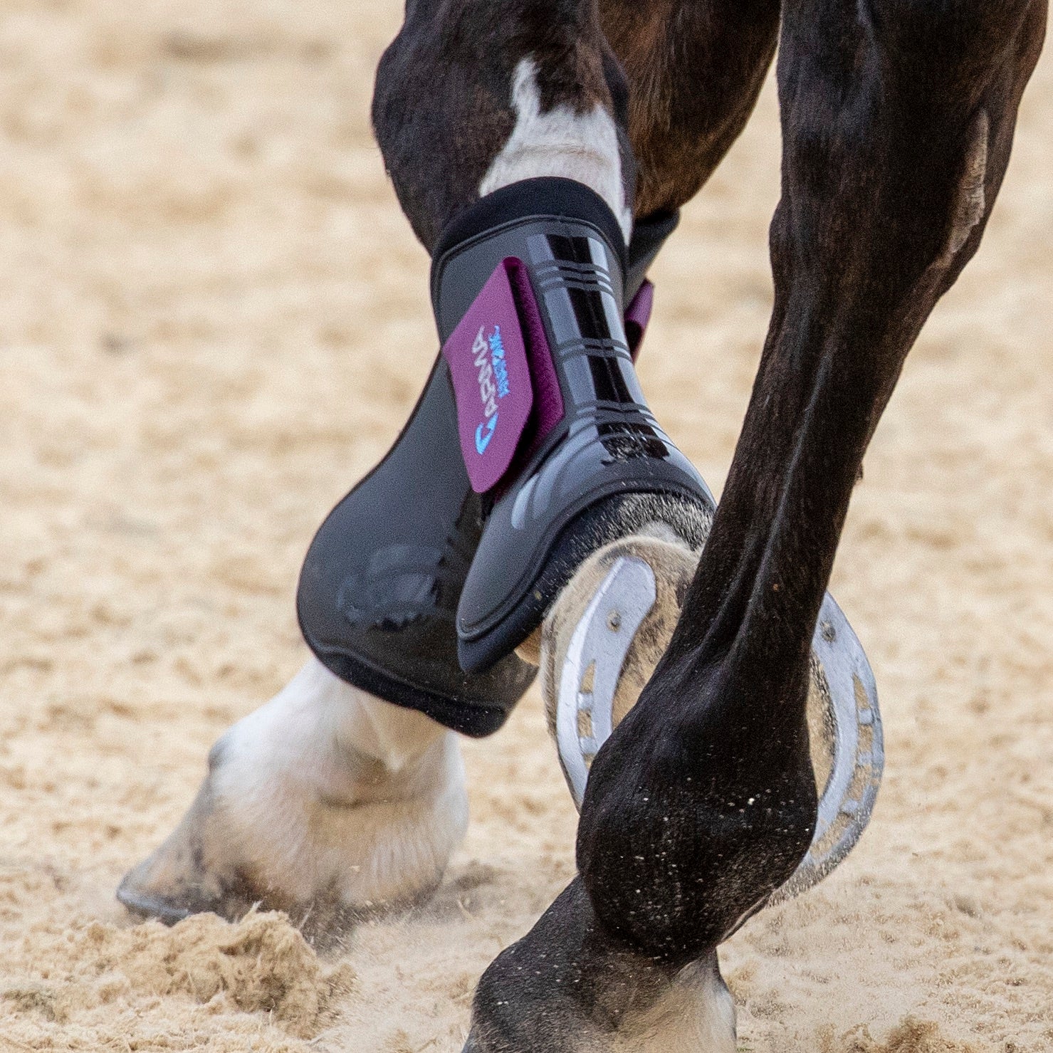 Shires ARMA Tendon Boots - Image 7