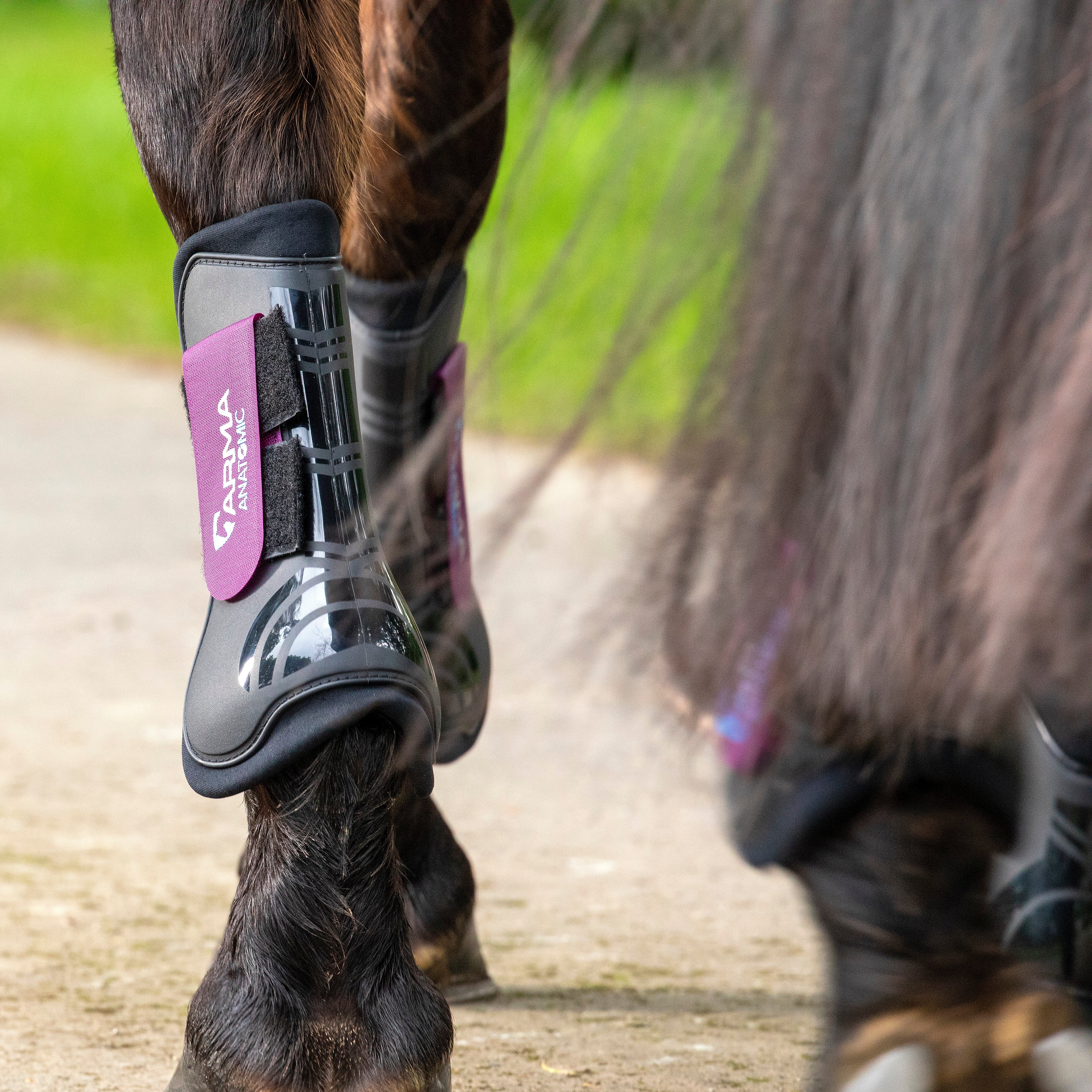 Shires ARMA Tendon Boots - Image 9
