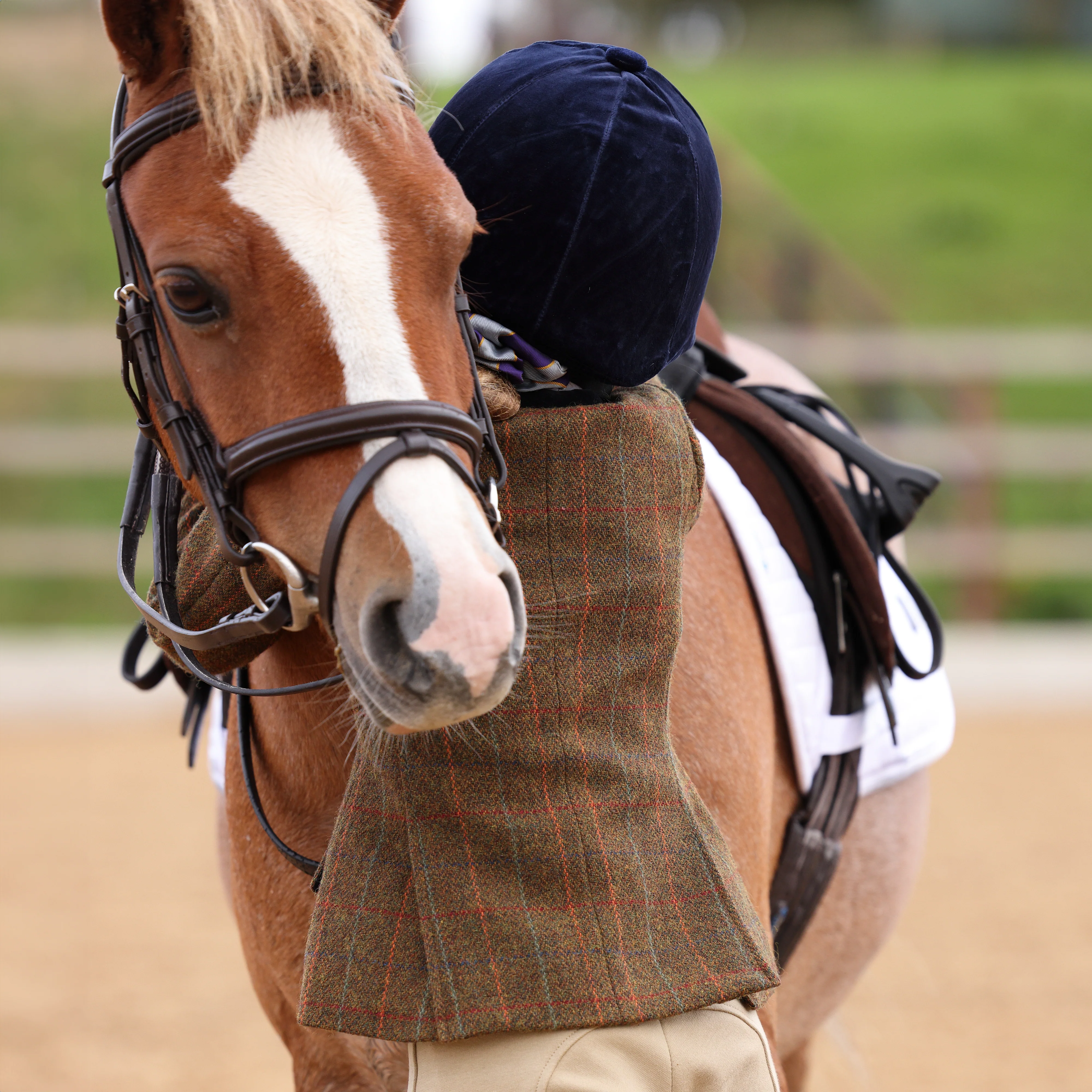 Shires Aubrion Saratoga Children's Jacket - Image 29