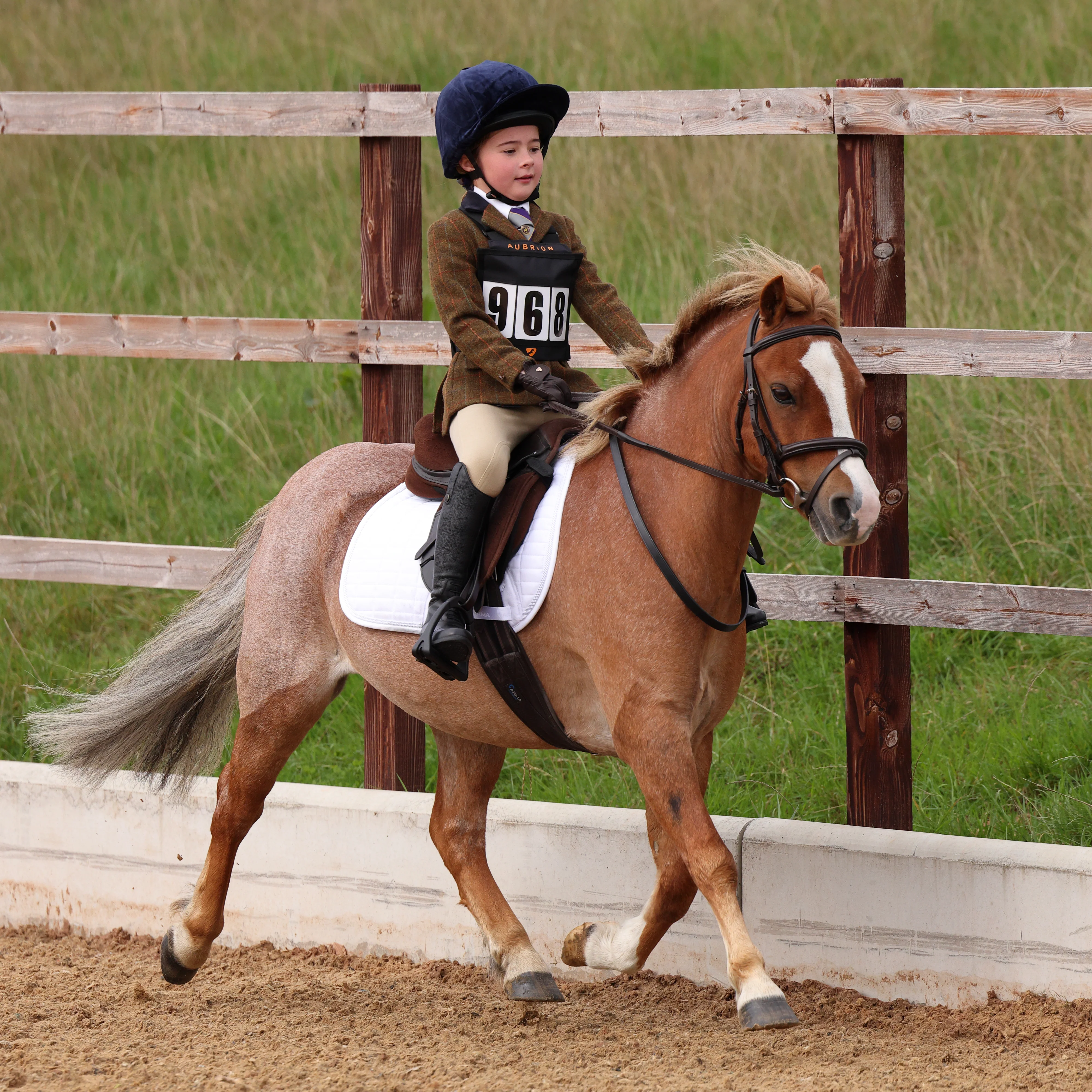 Shires Aubrion Saratoga Children's Jacket - Image 34