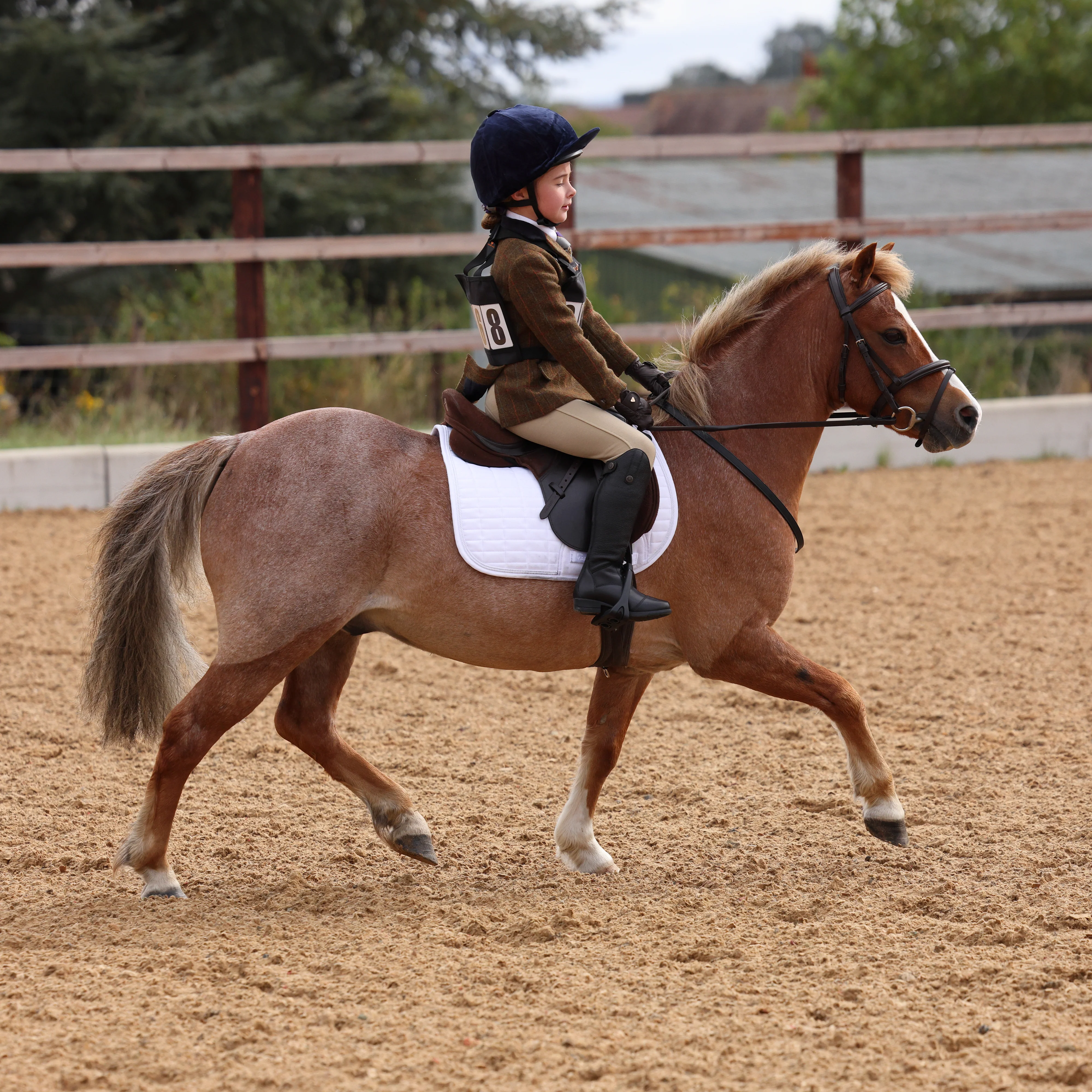 Shires Aubrion Saratoga Children's Jacket - Image 35