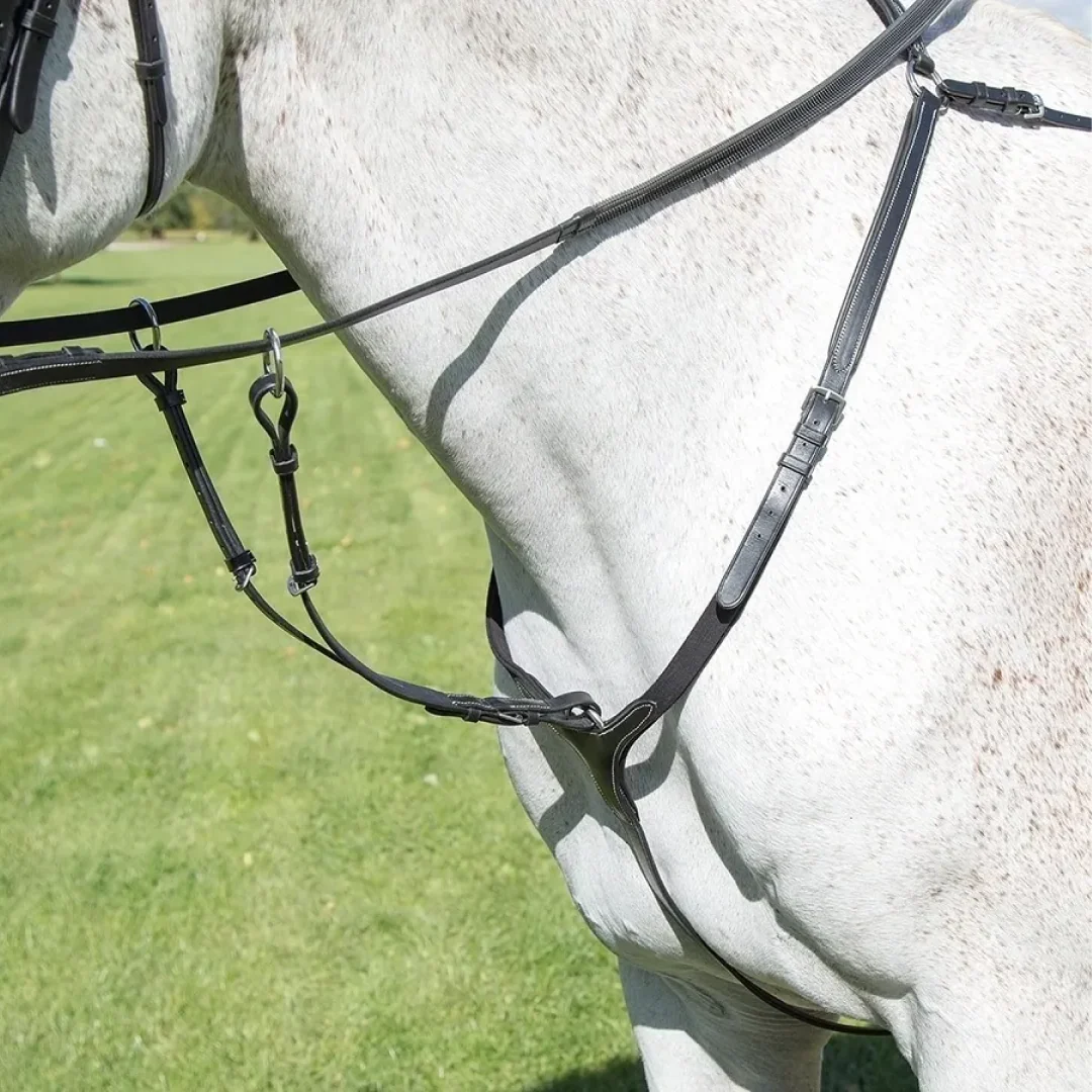 Shires Avignon 3-Point Breastplate