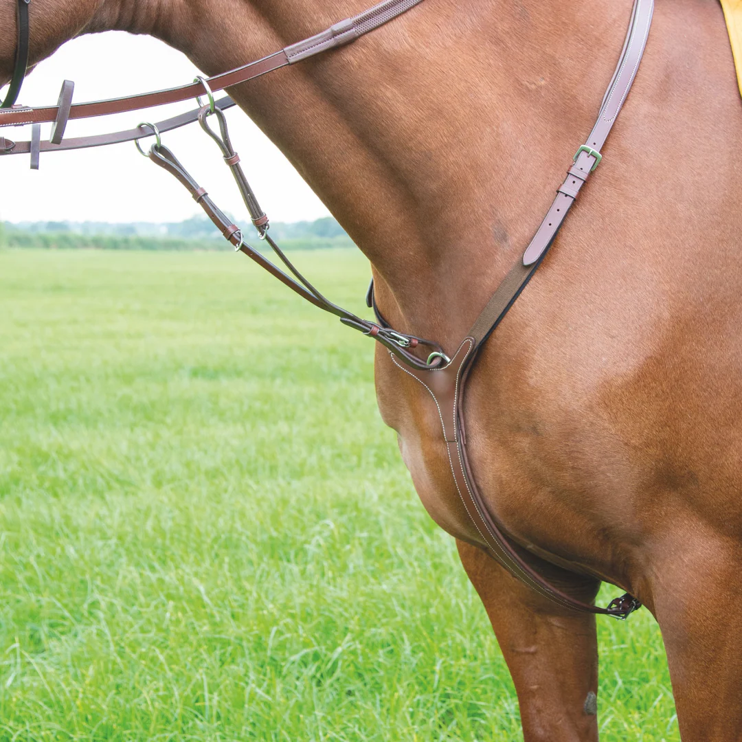 Shires Avignon 3-Point Breastplate - Image 2