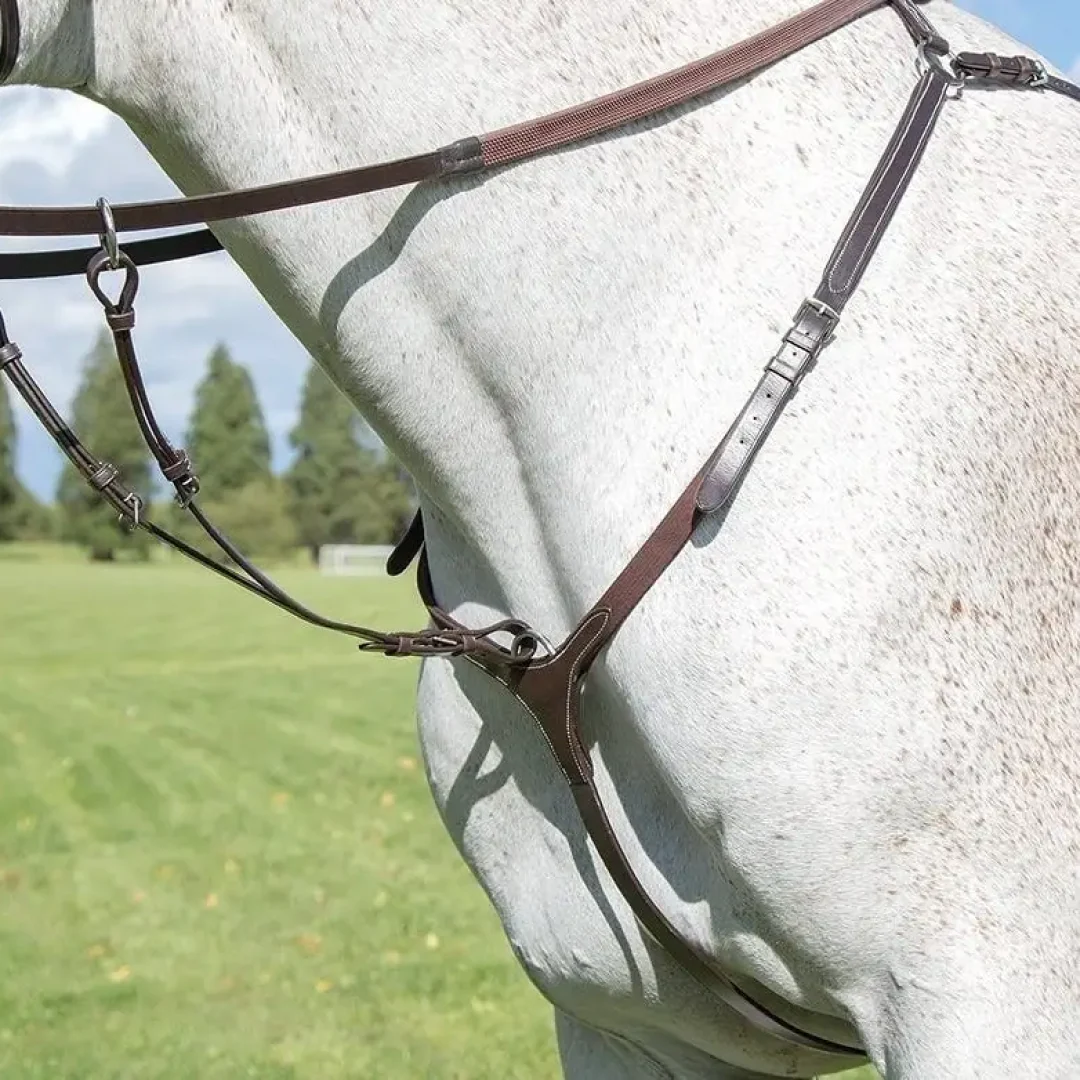 Shires Avignon 3-Point Breastplate - Image 3