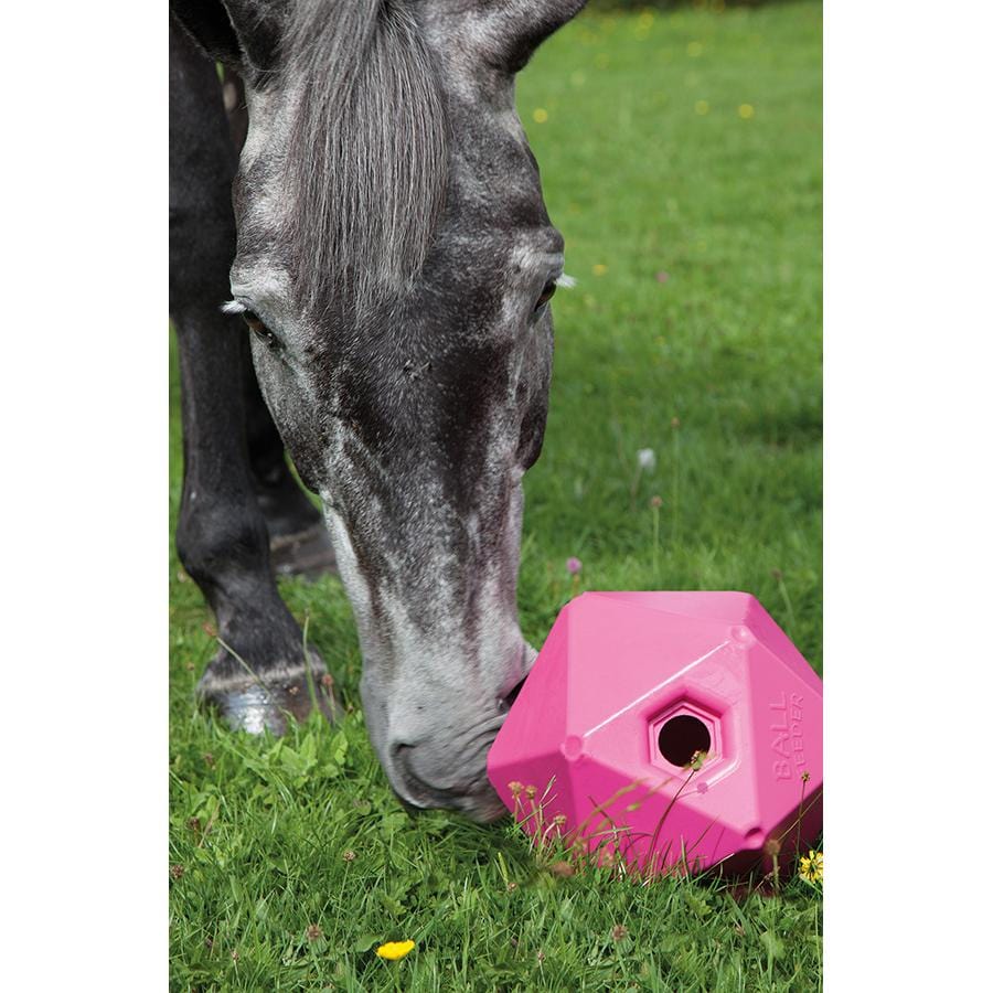 Shires Ball Feeder - Image 3