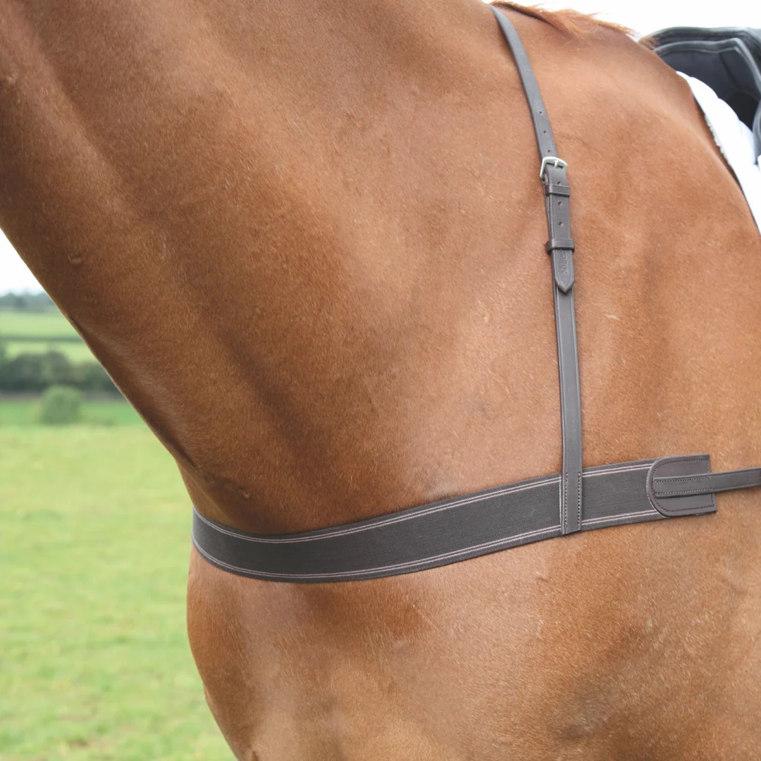 Shires Velociti GARA Elastic Breastgirth