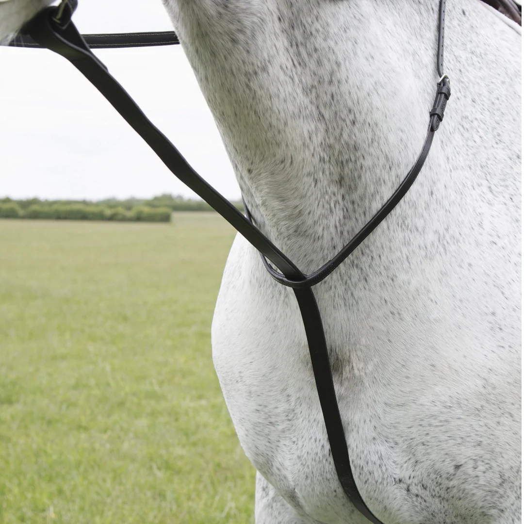 Shires Velociti GARA Standing Martingale - Image 2