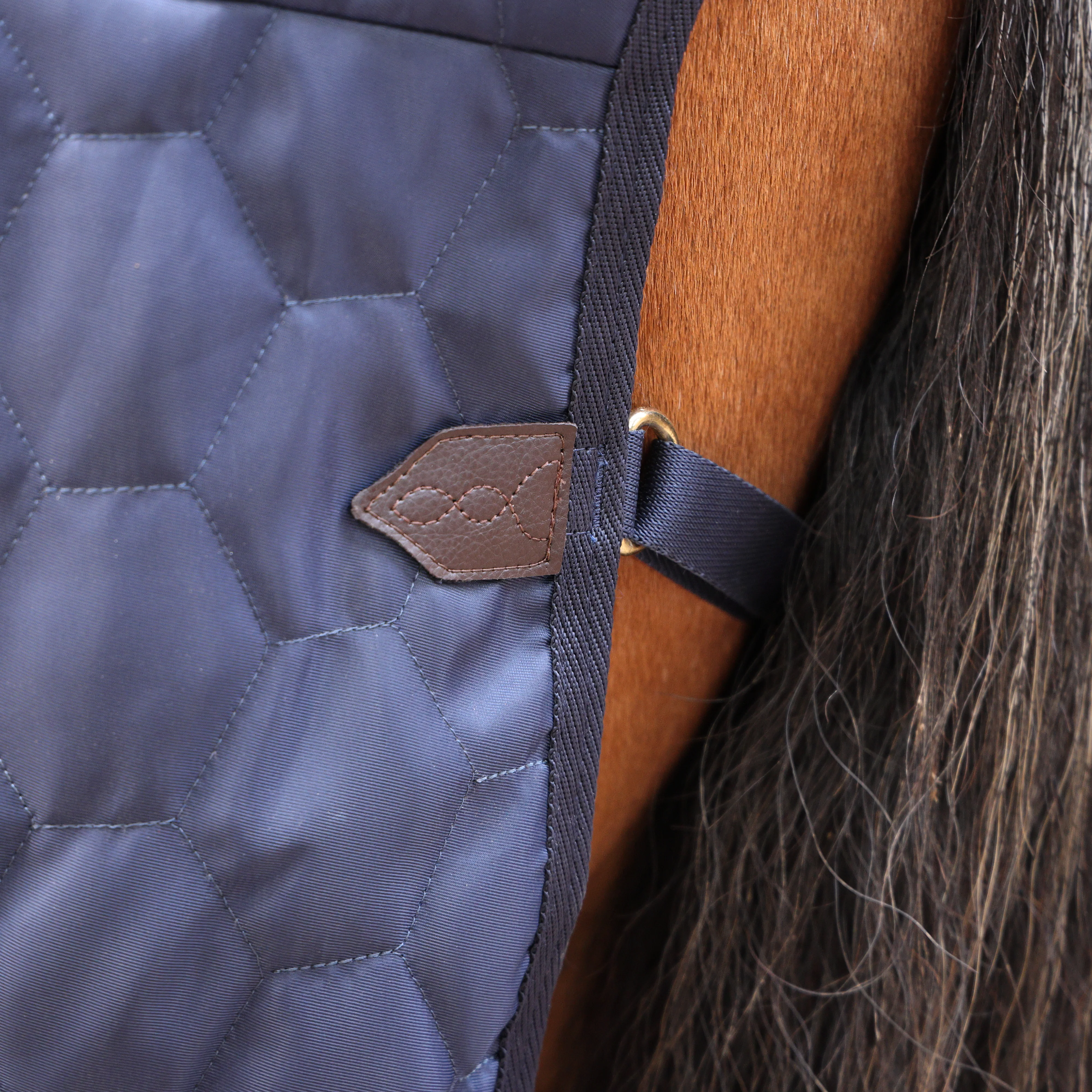 Shires Deluxe Quilted Rug - Image 6