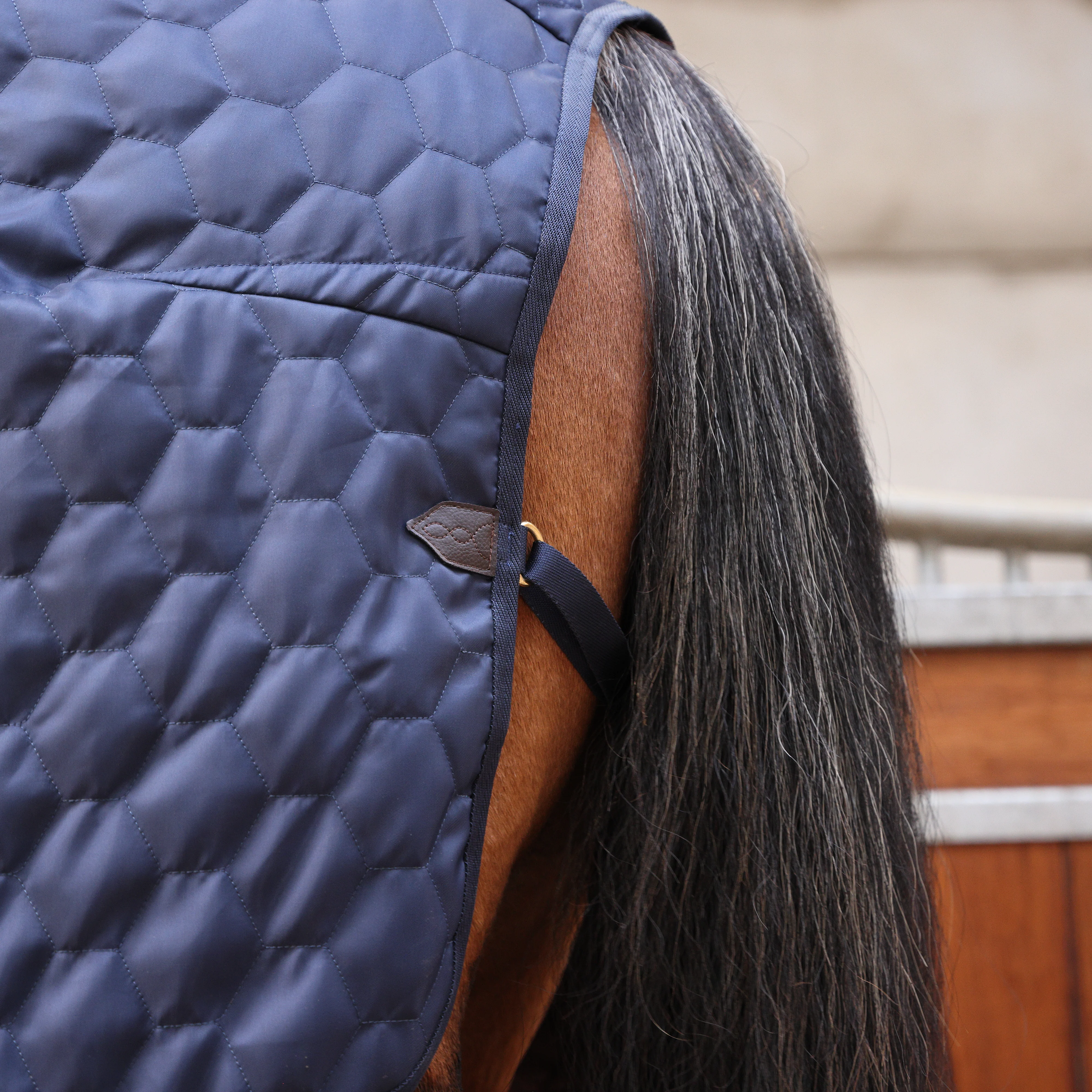 Shires Deluxe Quilted Rug - Image 8