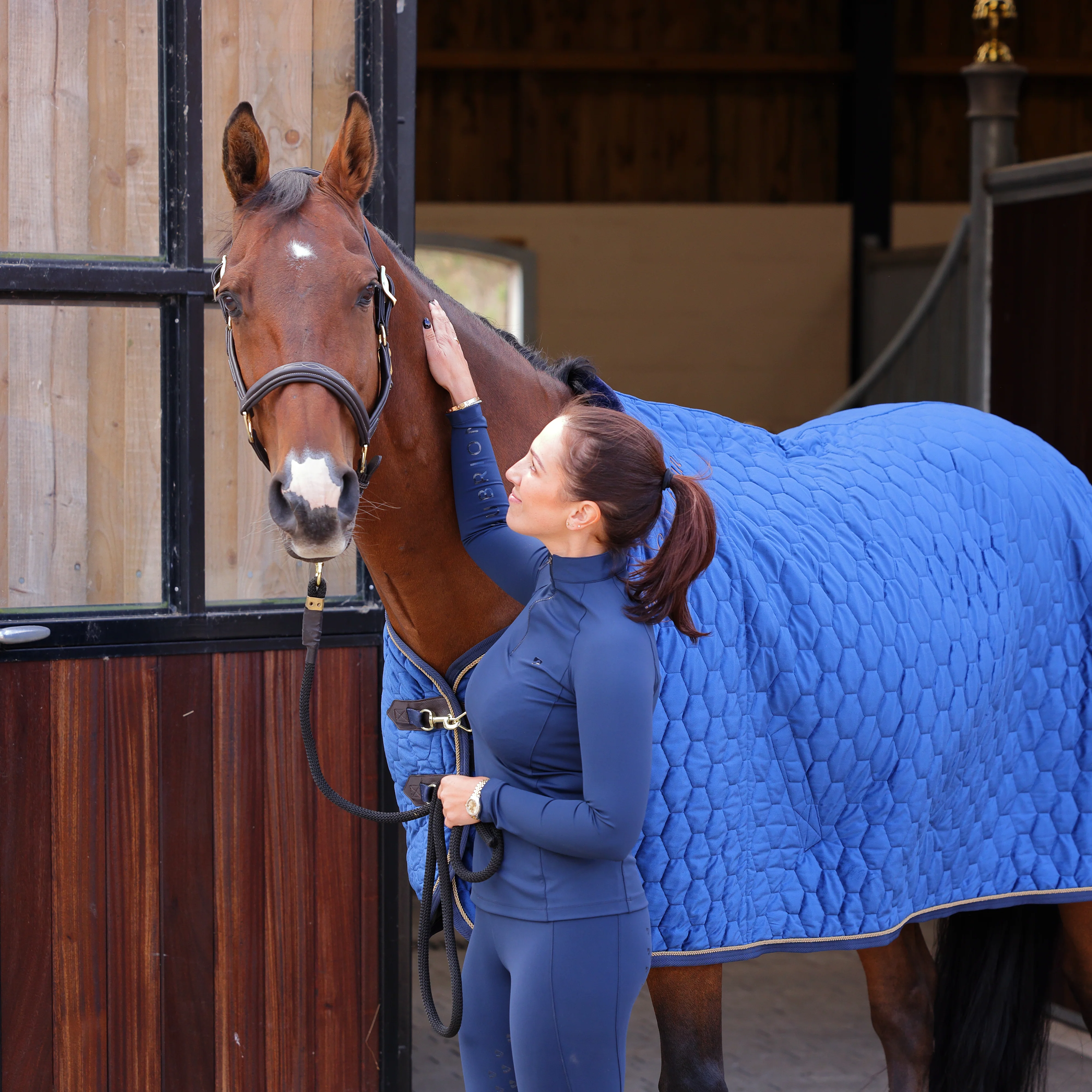 Shires Deluxe Quilted Show Rug - Image 12
