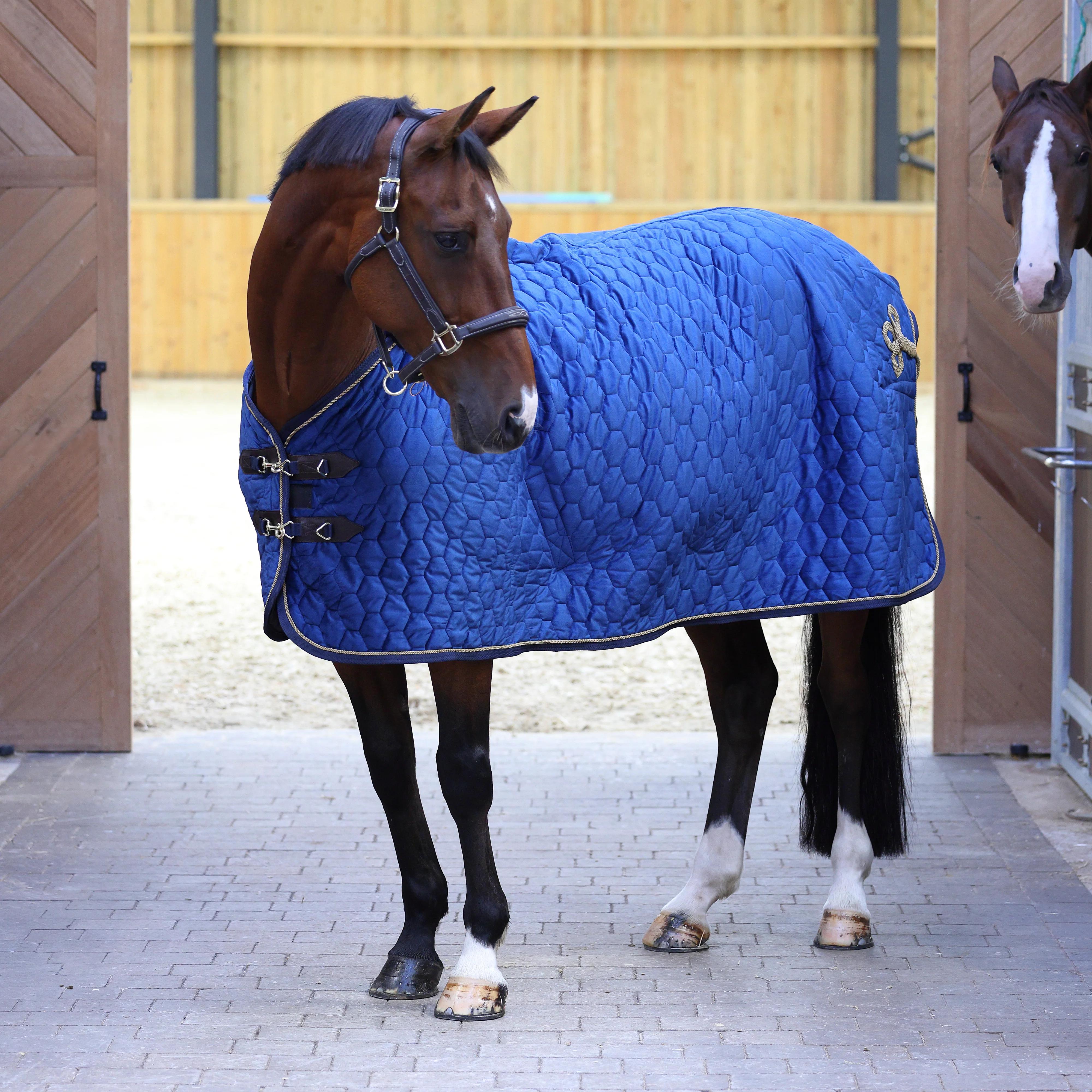 Shires Deluxe Quilted Show Rug - Image 2