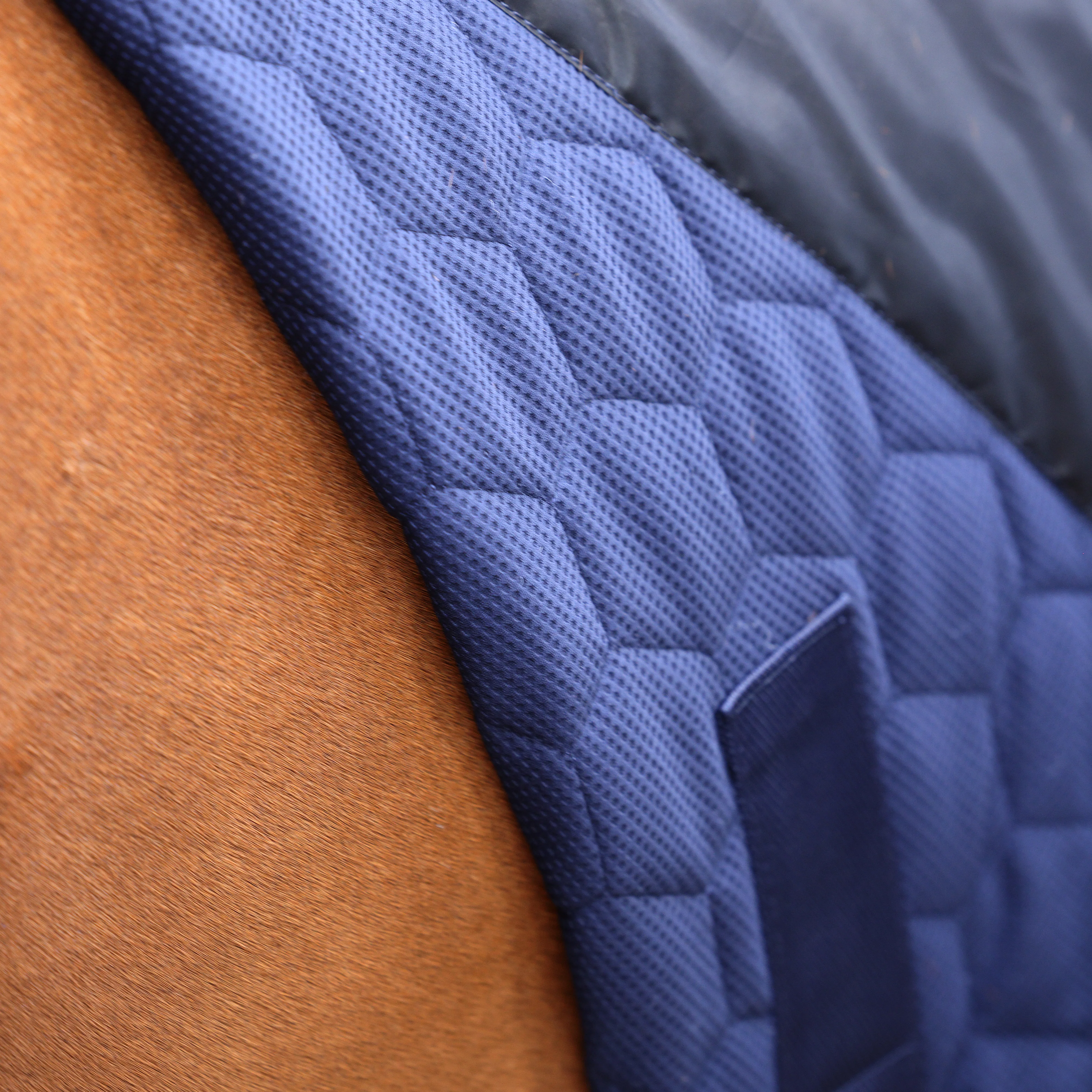 Shires Deluxe Quilted Show Rug - Image 7