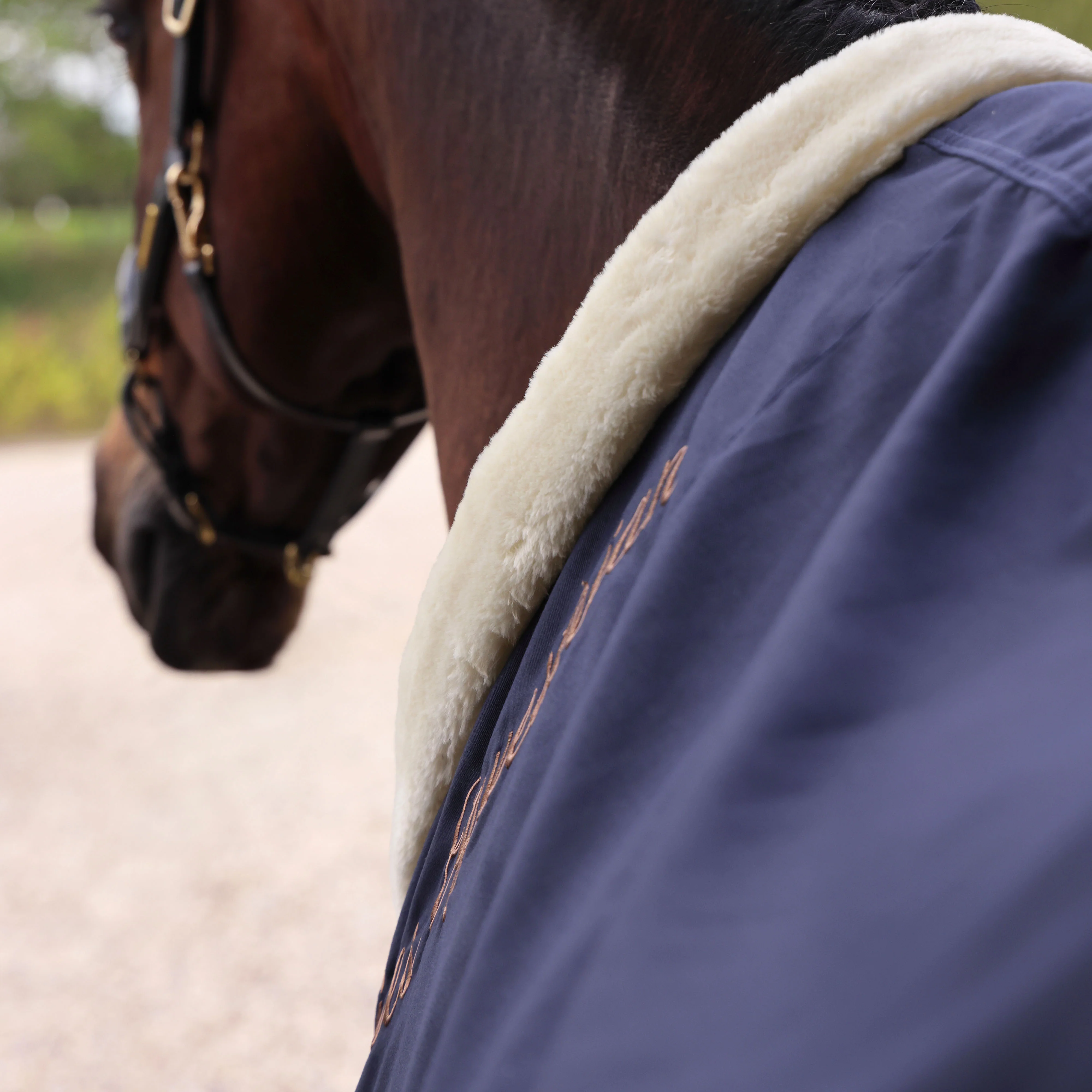 Shires Deluxe Stable Sheet - Image 4