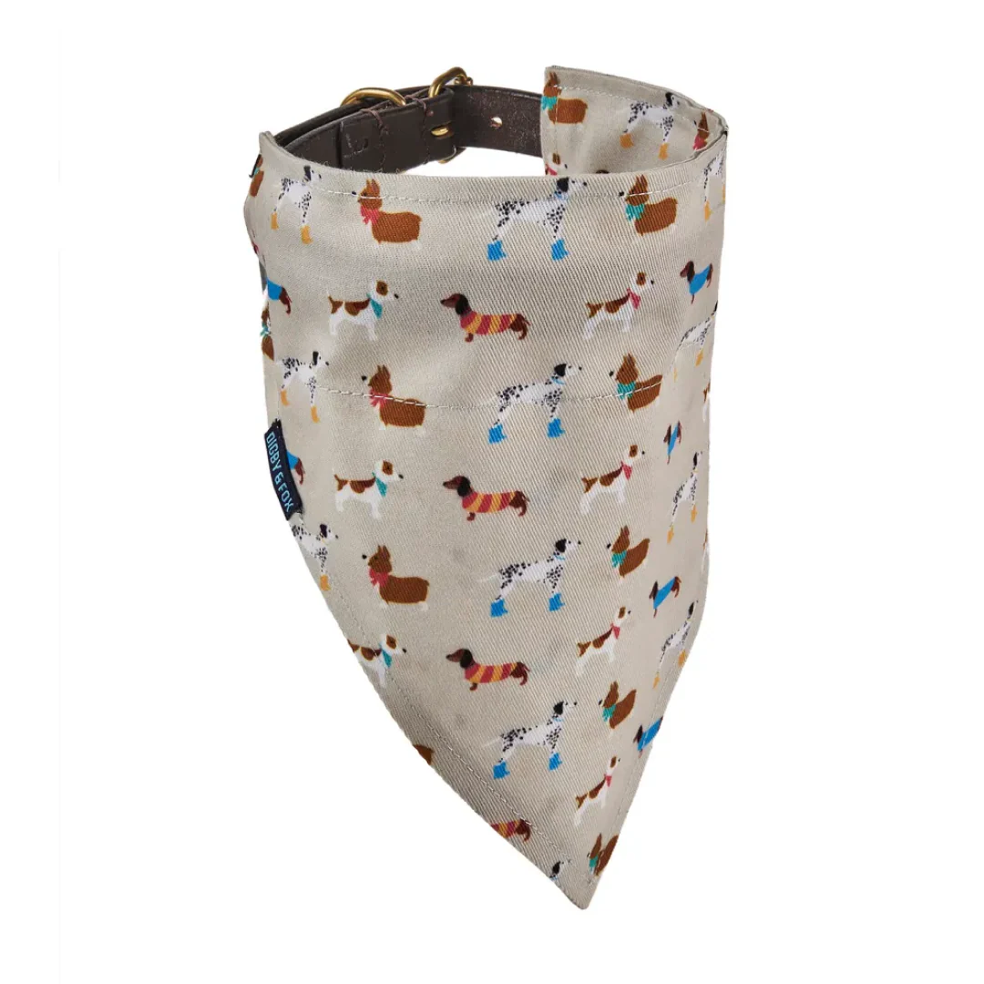 Shires Digby & Fox Bandana - Image 2