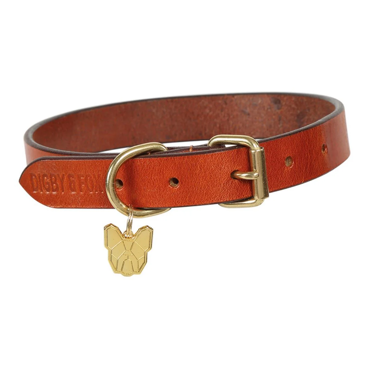 Shires Digby & Fox Flat Leather Dog Collar - Image 3