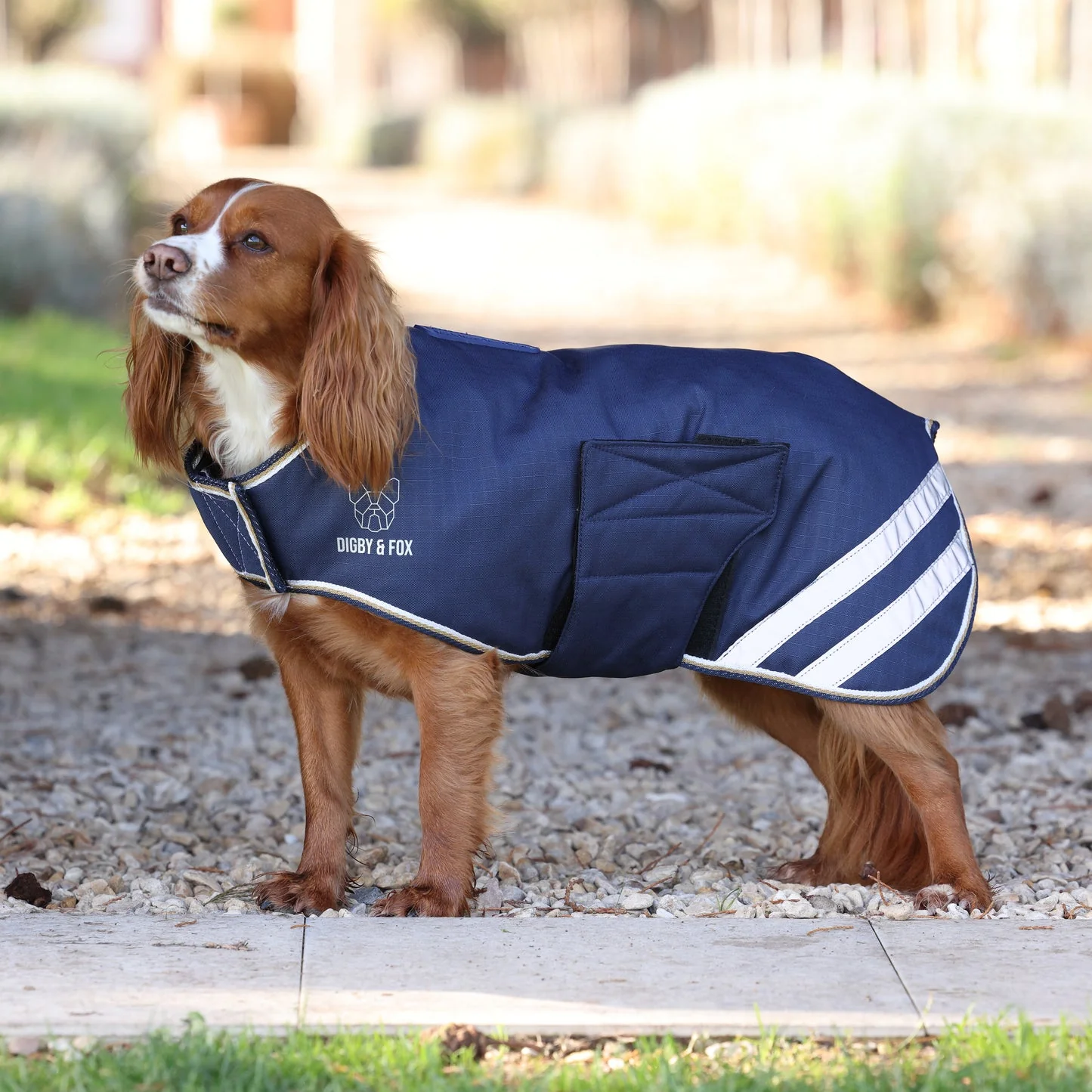Shires Digby & Fox Lite Waterproof Dog Coat