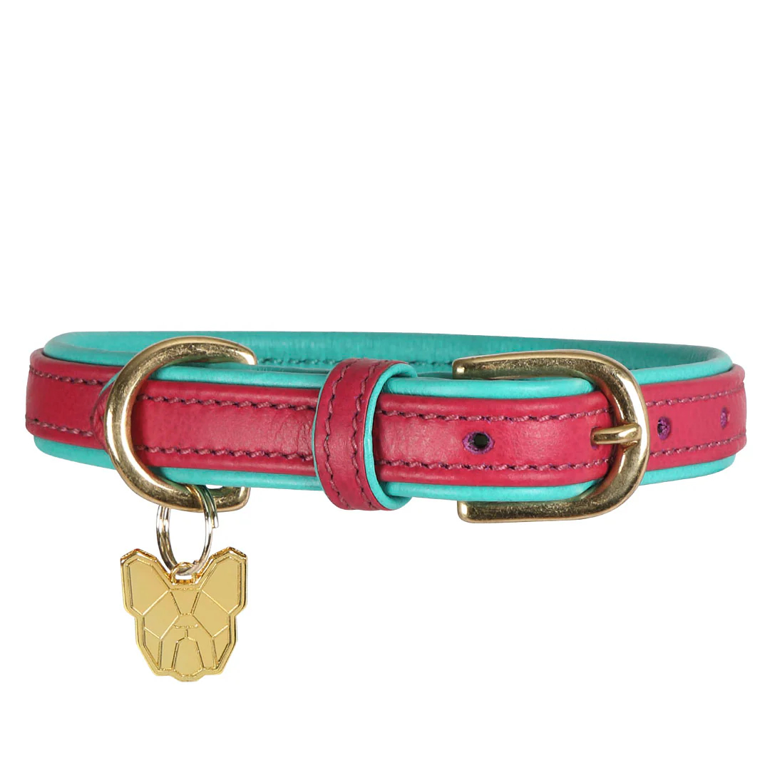 Shires Digby & Fox Padded Leather Dog Collar - Image 3