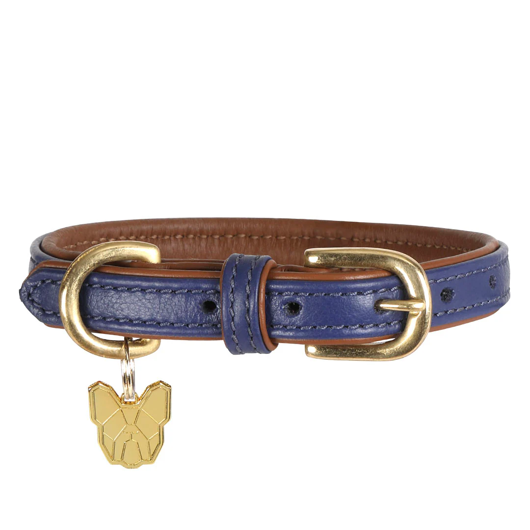 Shires Digby & Fox Padded Leather Dog Collar - Image 4