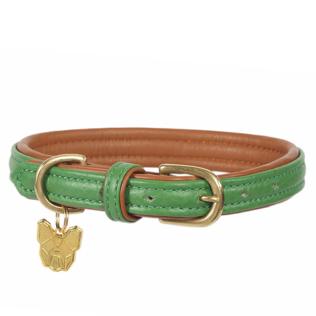 Shires Digby & Fox Padded Leather Dog Collar - Image 5