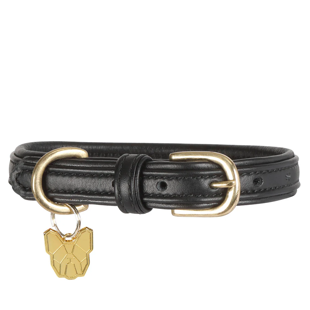 Shires Digby & Fox Padded Leather Dog Collar - Image 6