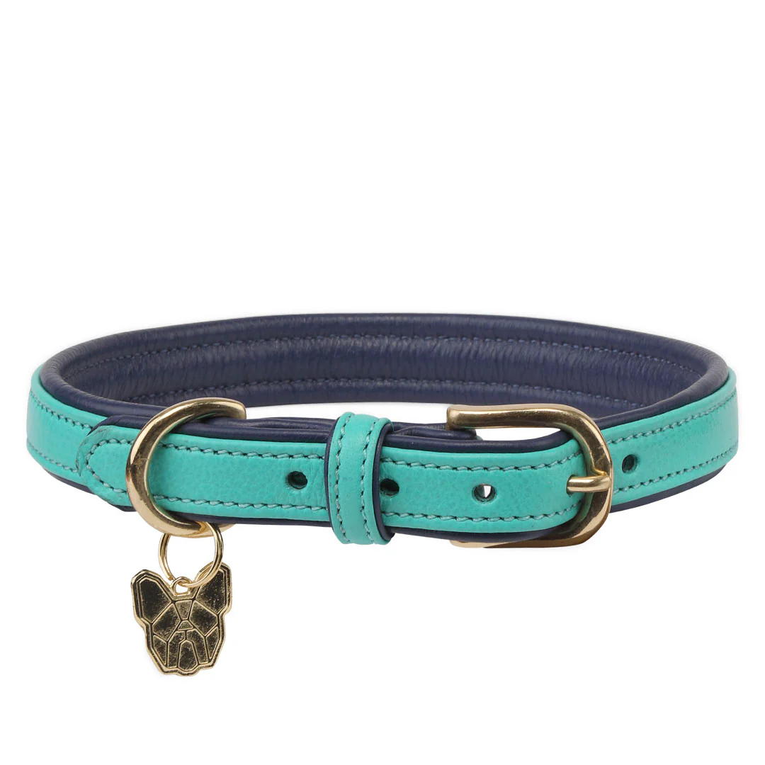 Shires Digby & Fox Padded Leather Dog Collar - Image 7