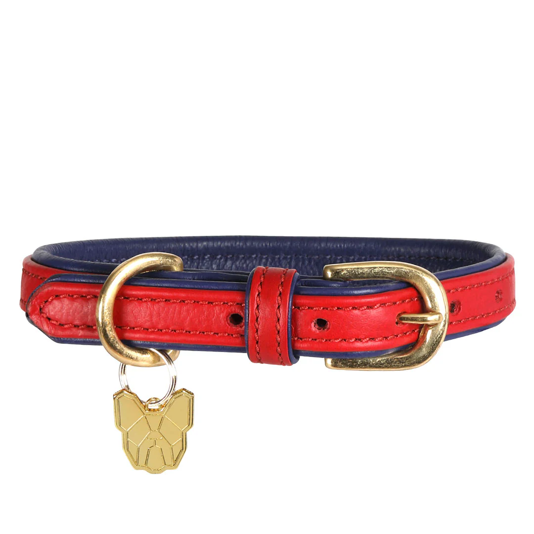 Shires Digby & Fox Padded Leather Dog Collar - Image 8