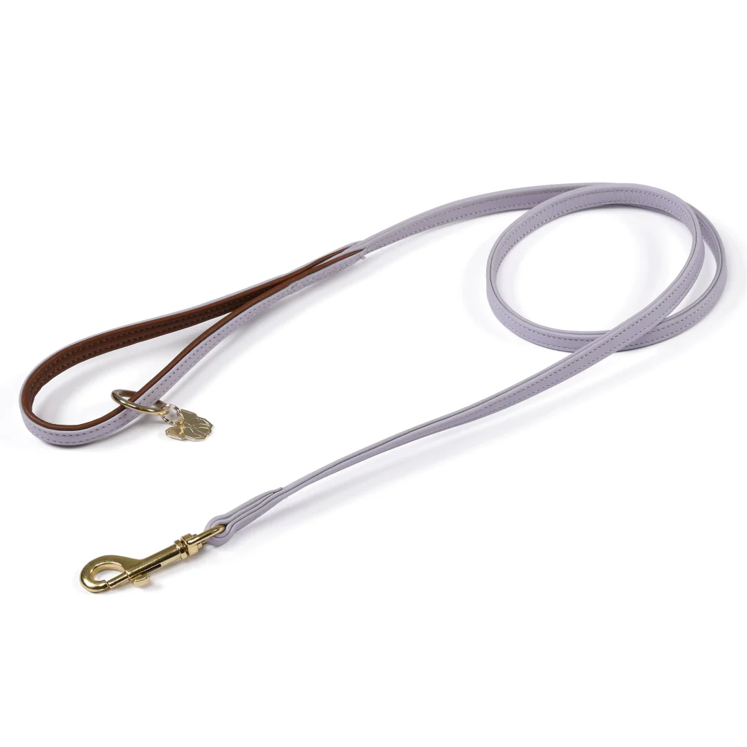 Shires Digby & Fox Padded Leather Dog Lead - Image 4