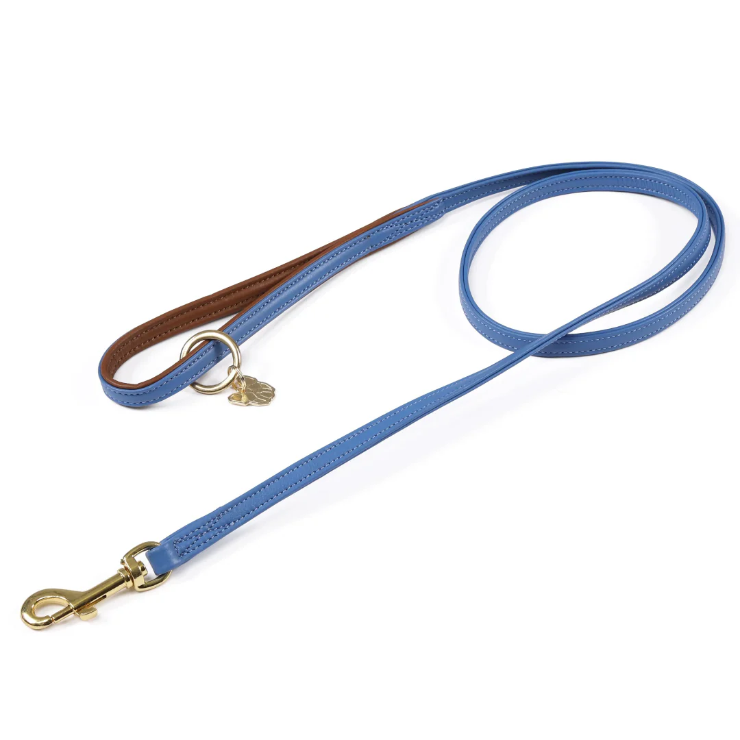Shires Digby & Fox Padded Leather Dog Lead - Image 6