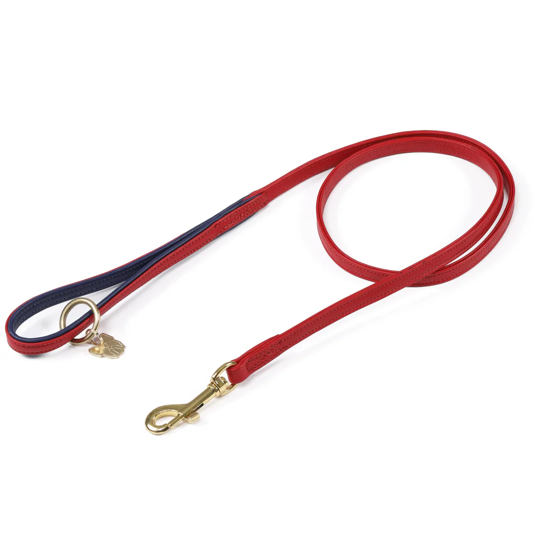 Shires Digby & Fox Padded Leather Dog Lead - Image 7