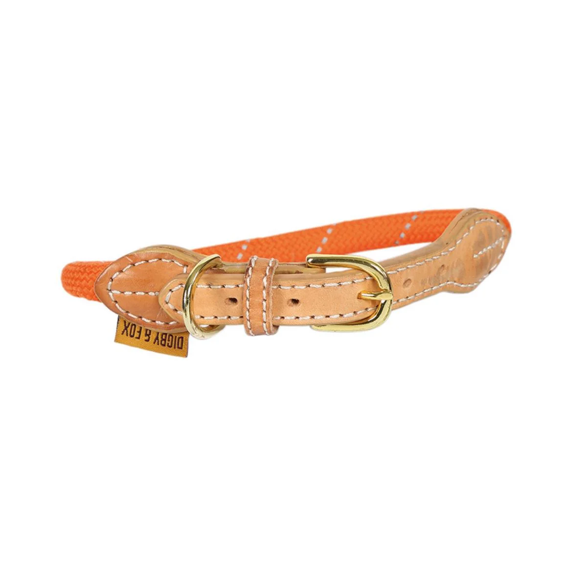 Shires Digby & Fox Reflective Dog Collar - Image 5