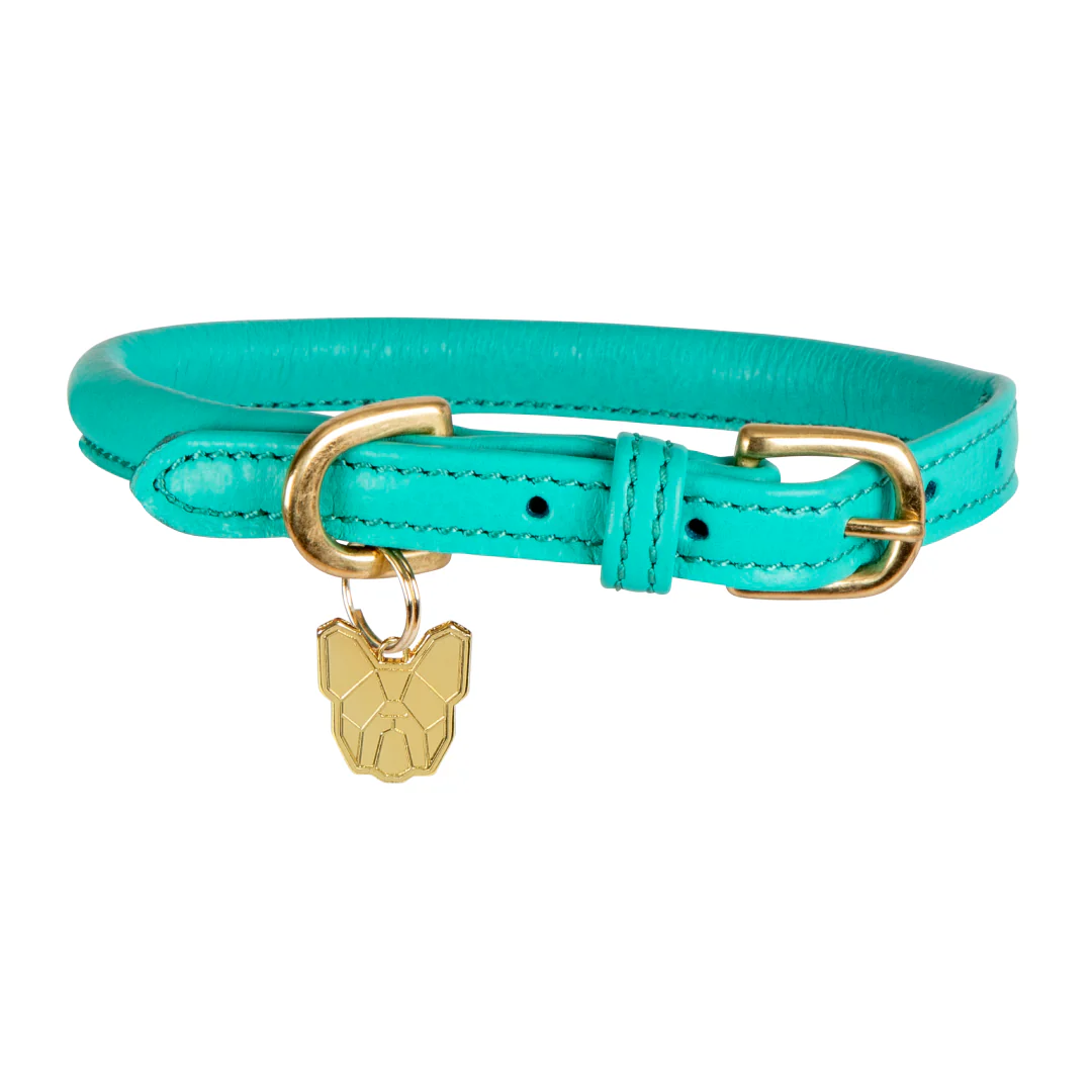 Shires Digby & Fox Rolled Leather Dog Collar - Image 10