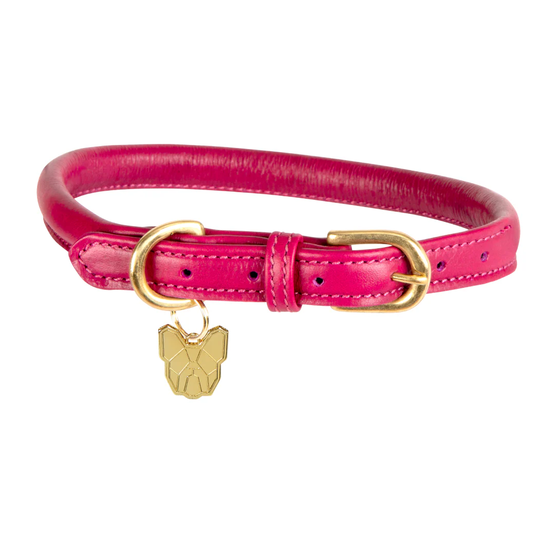 Shires Digby & Fox Rolled Leather Dog Collar - Image 3