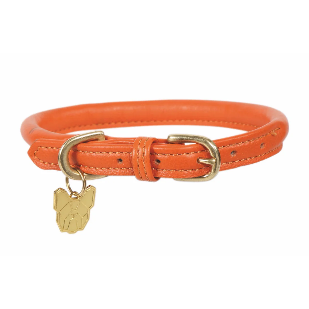 Shires Digby & Fox Rolled Leather Dog Collar - Image 4