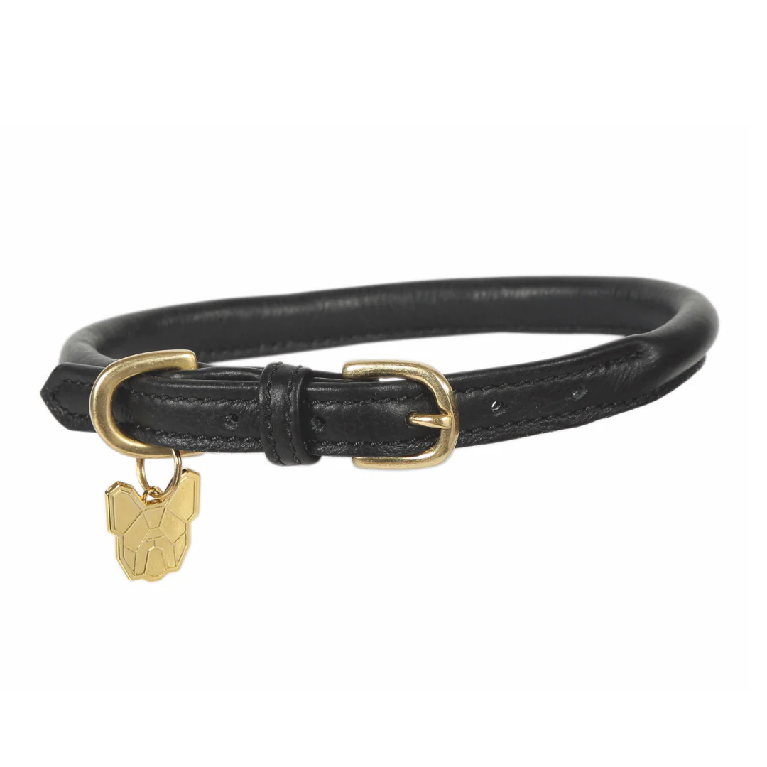 Shires Digby & Fox Rolled Leather Dog Collar - Image 5